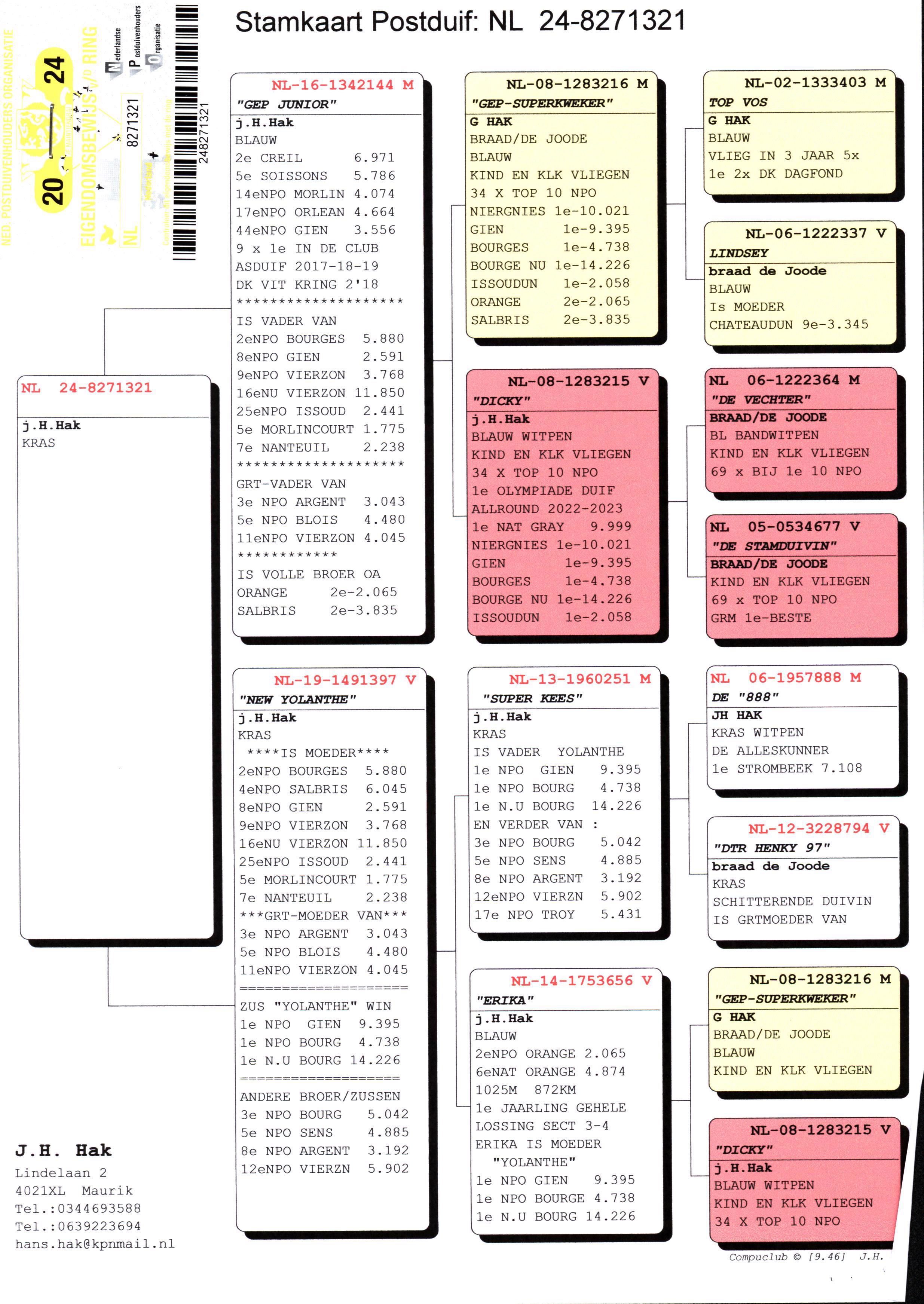 Pigeon pedigree image