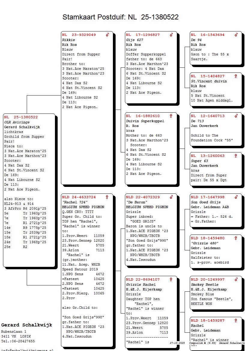 Pigeon pedigree image