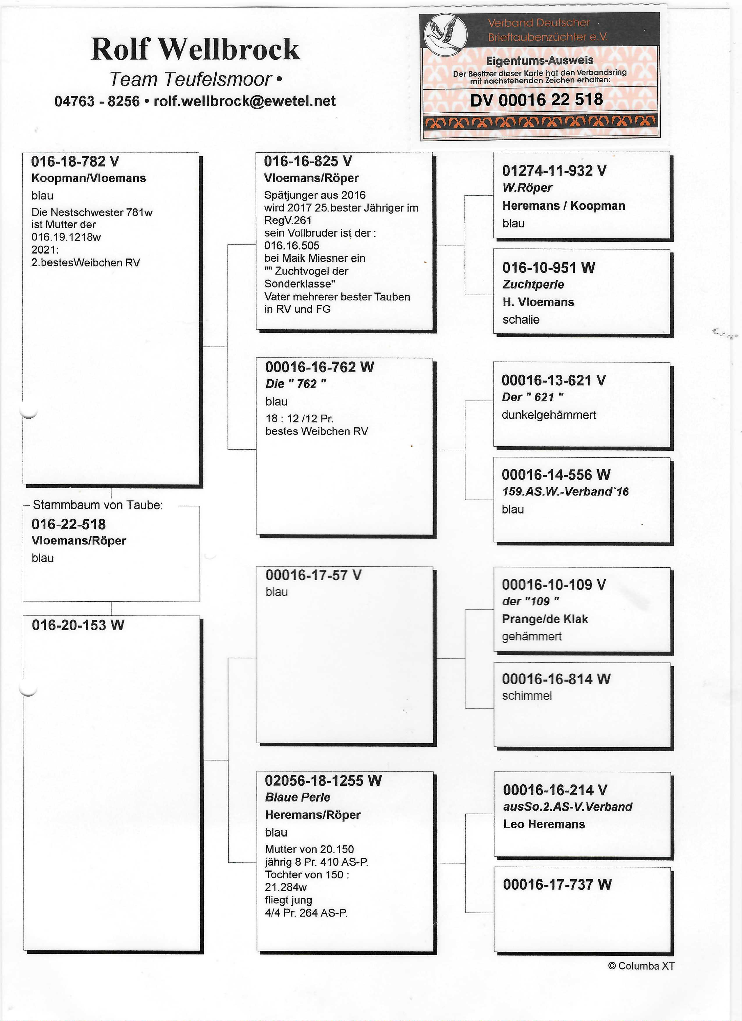 Pigeon pedigree image
