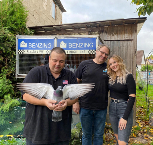 Pigeon image