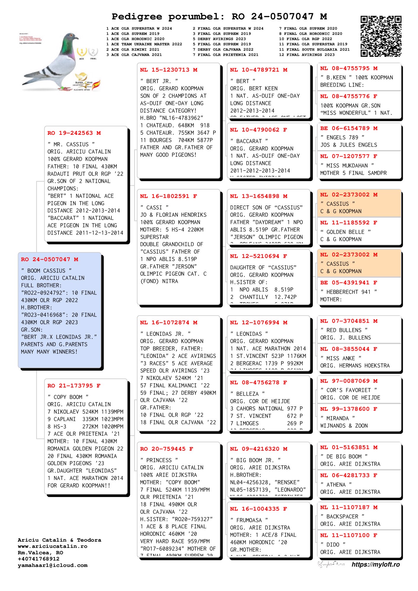 Pigeon pedigree image