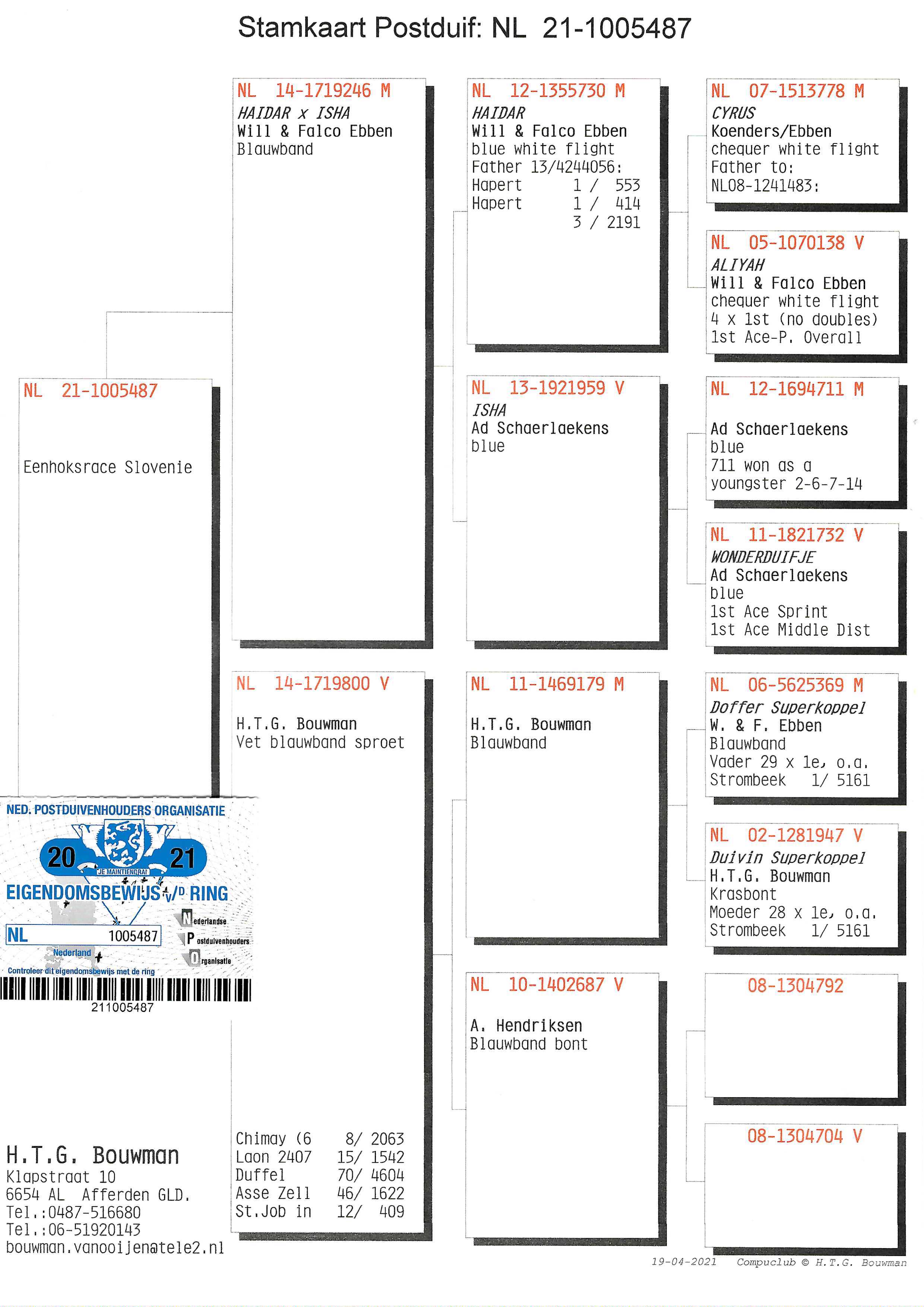 Pigeon pedigree image