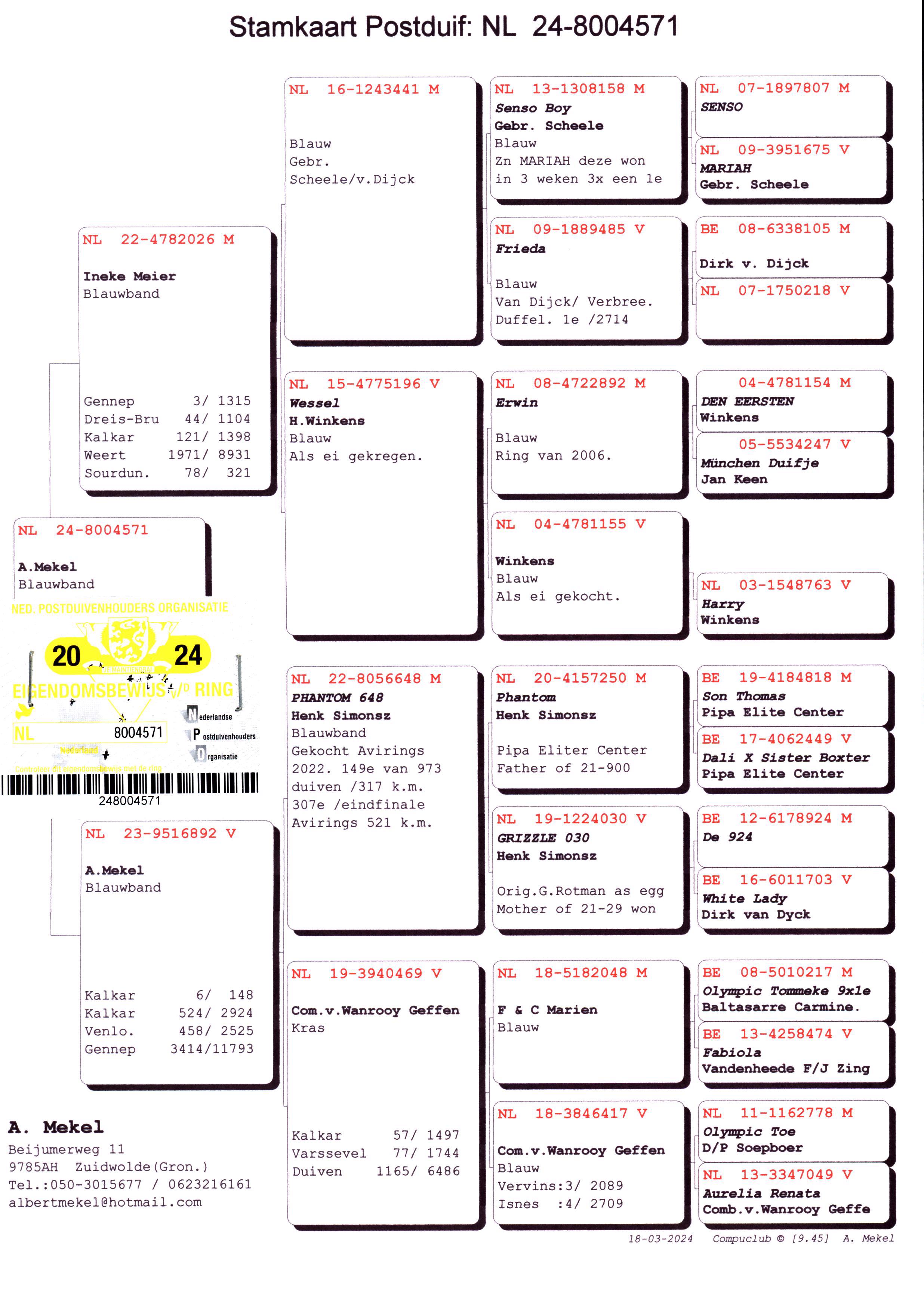 Pigeon pedigree image