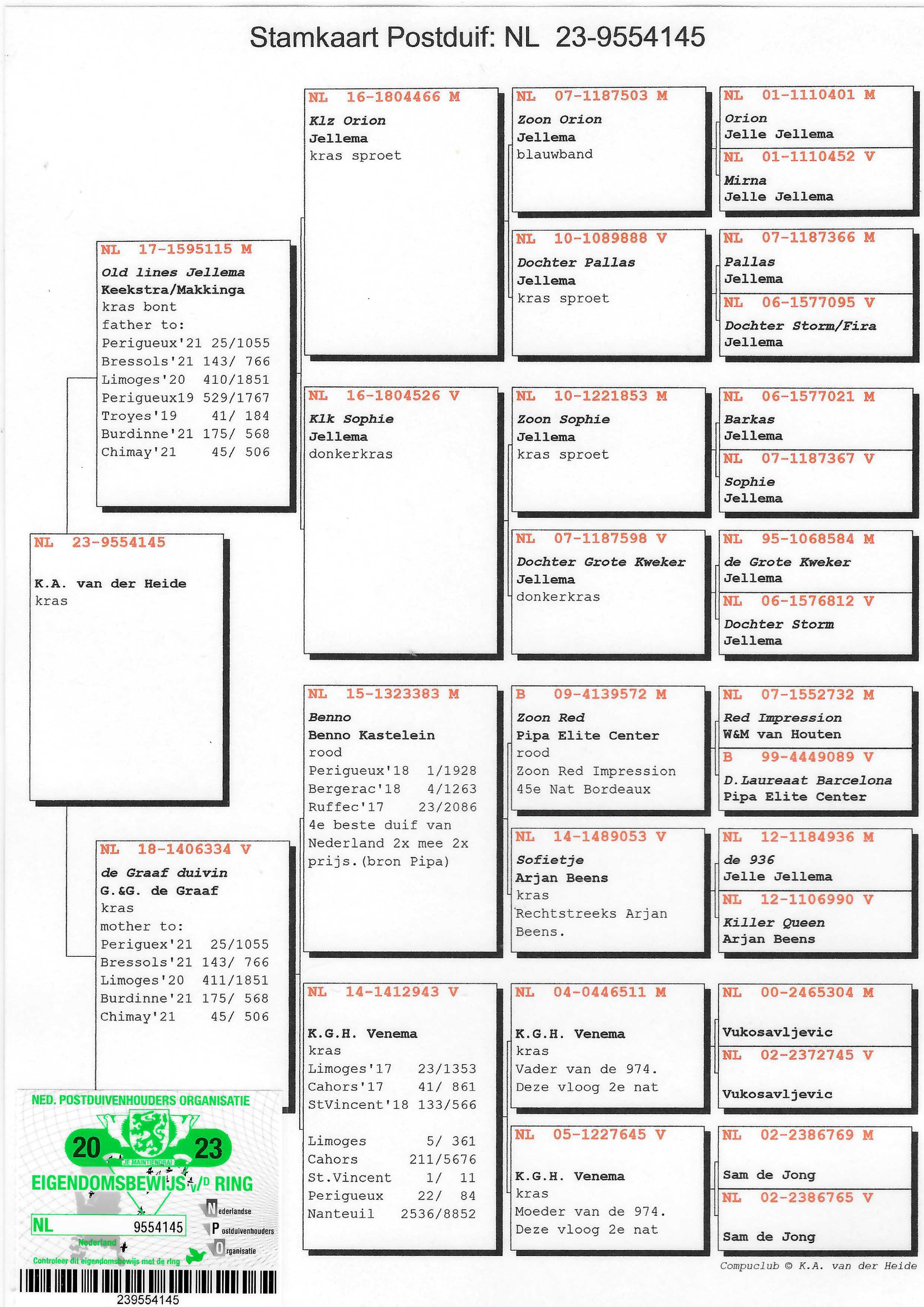 Pigeon pedigree image