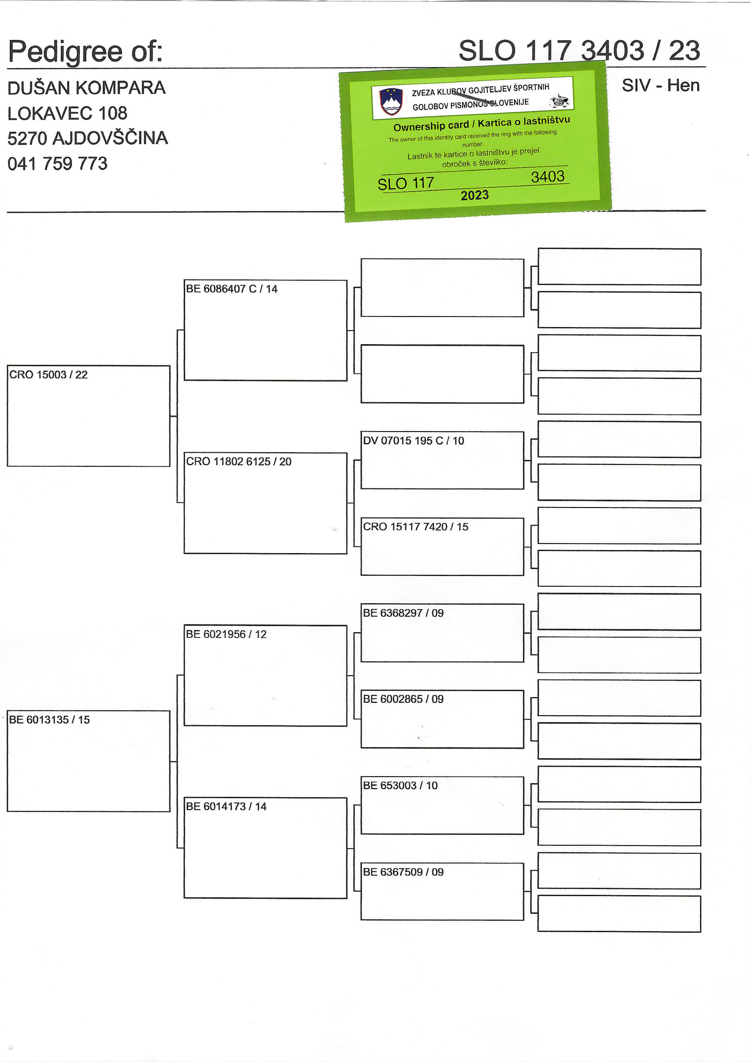 Pigeon pedigree image