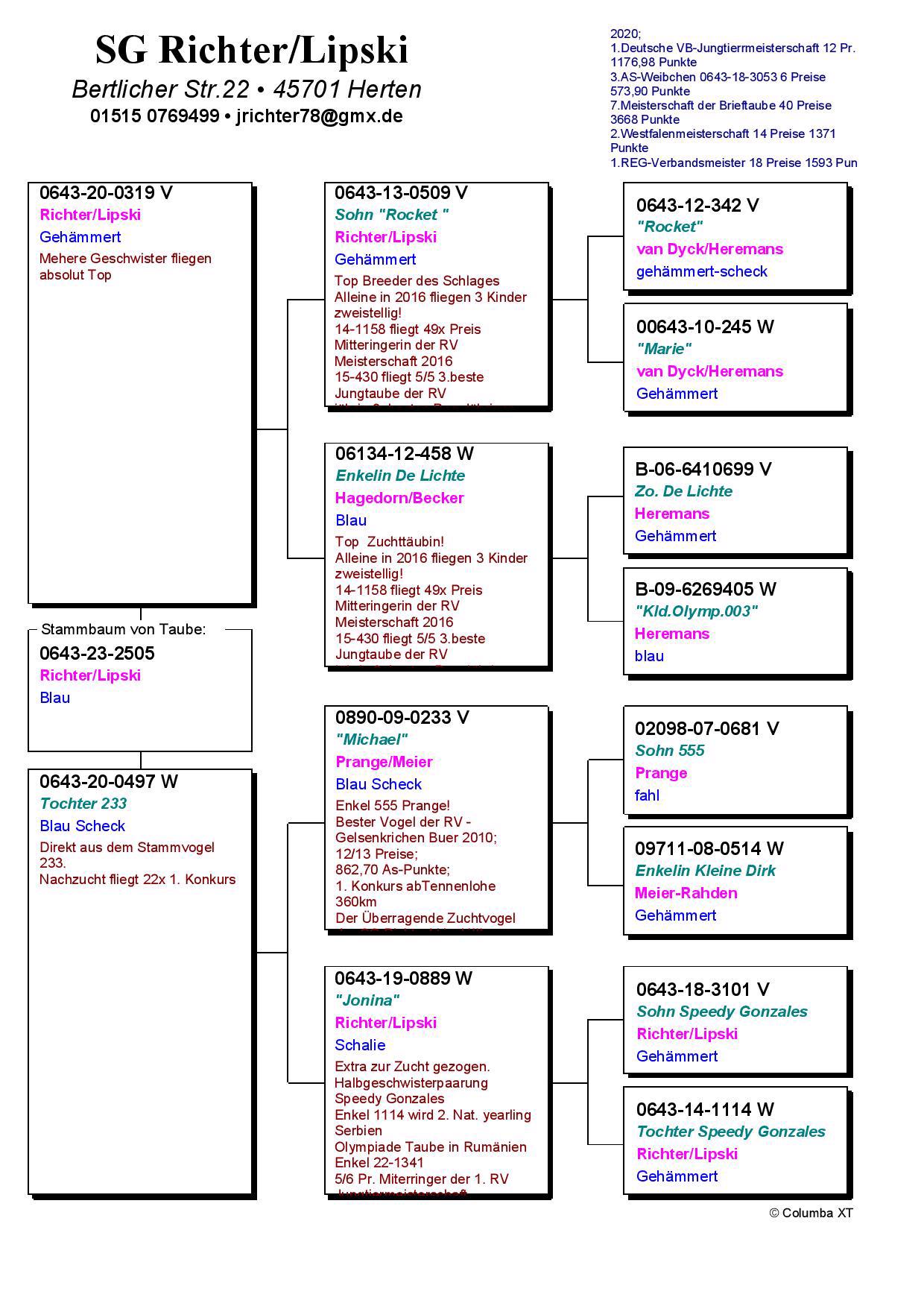 Pigeon pedigree image