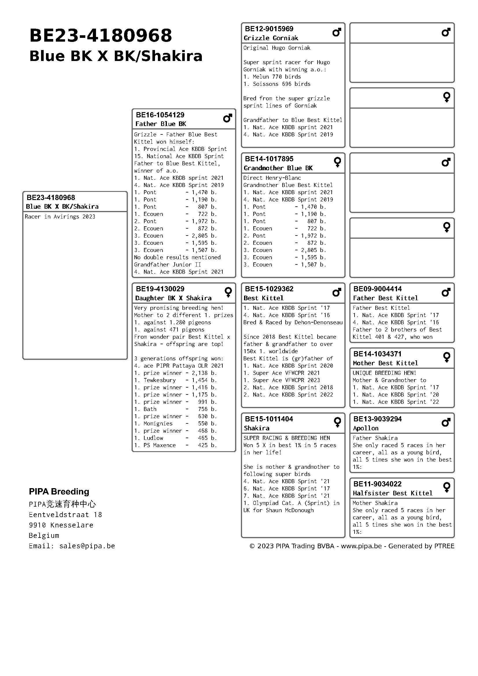 Pigeon pedigree image