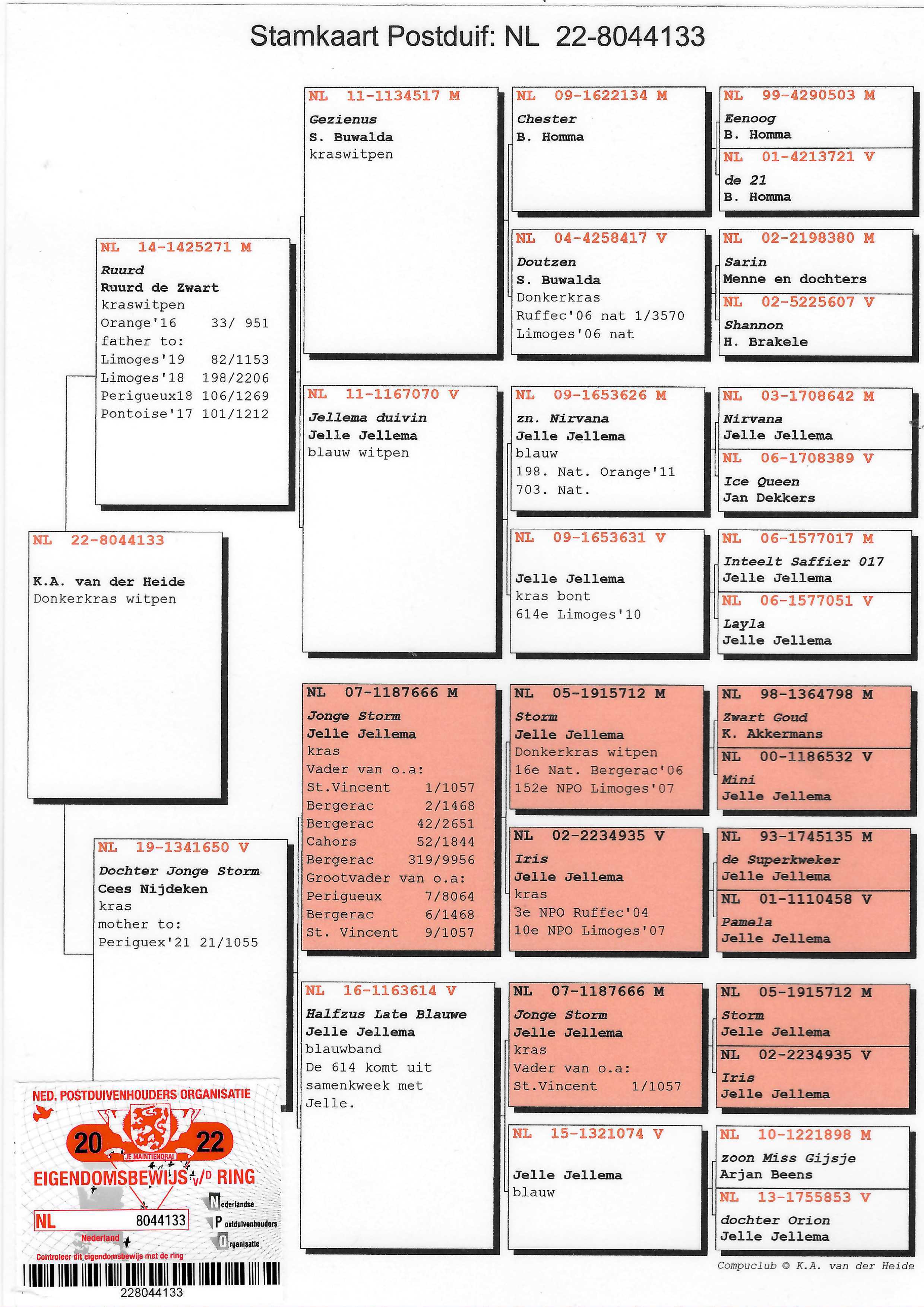 Pigeon pedigree image