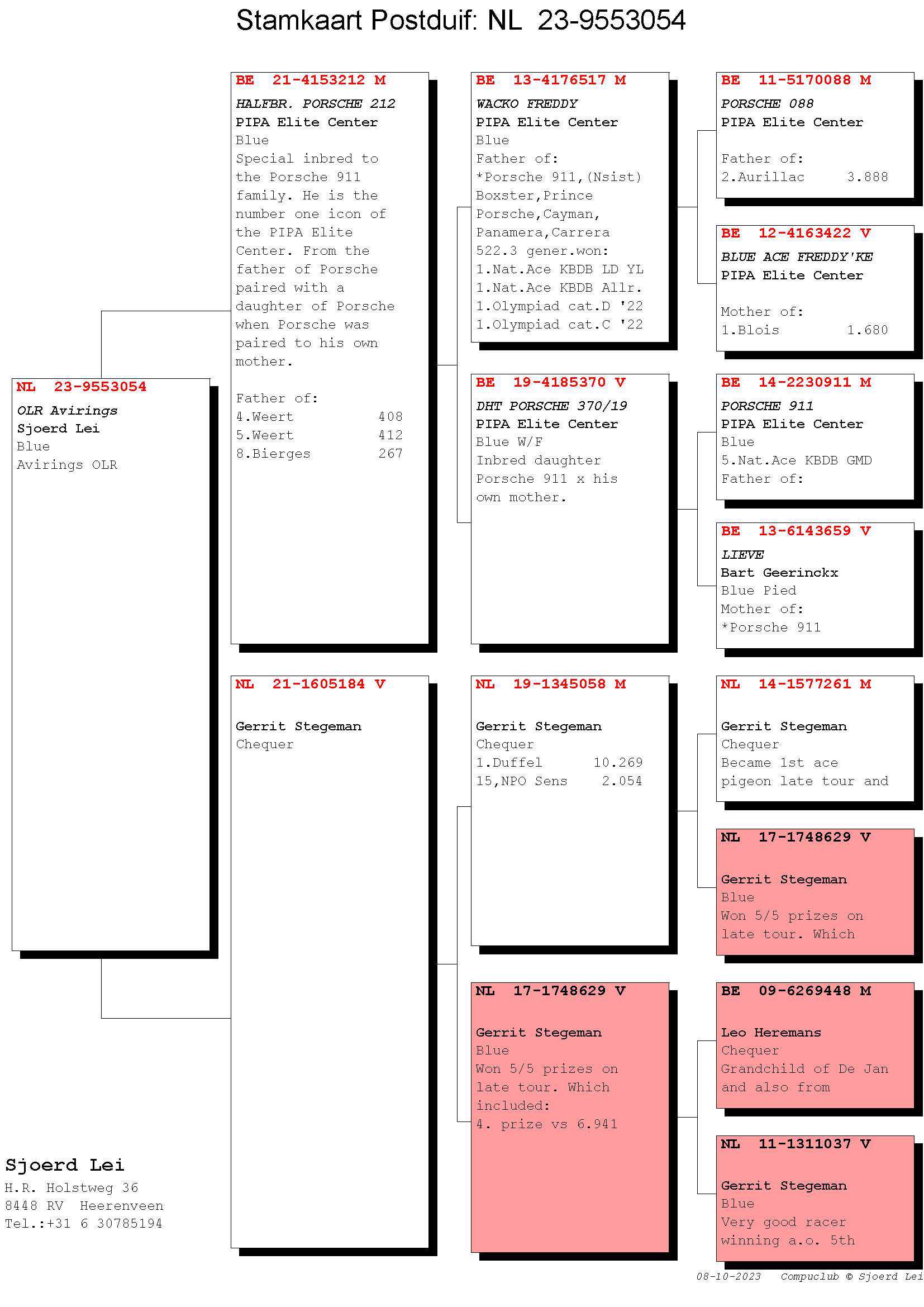 Pigeon pedigree image
