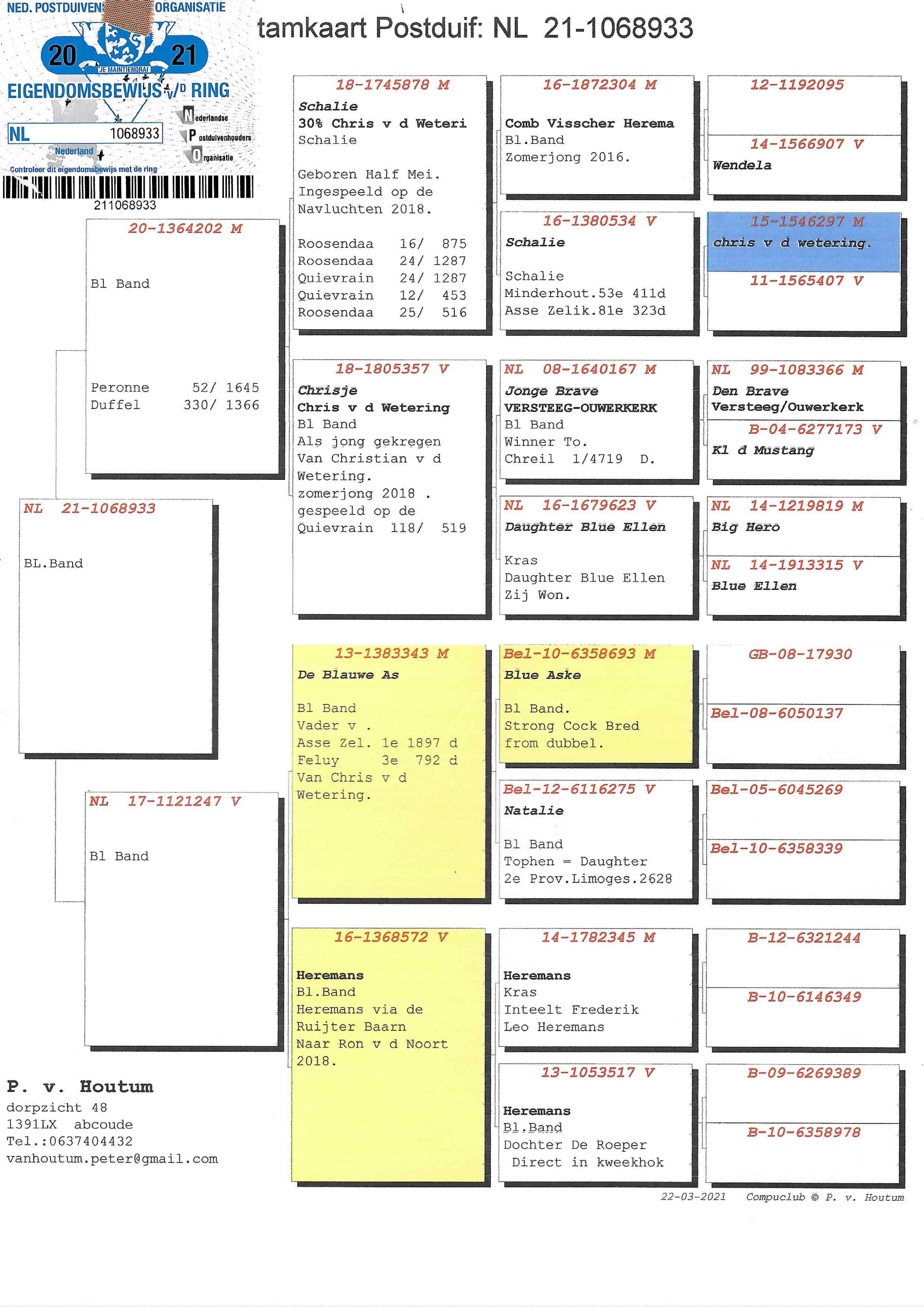 Pigeon pedigree image