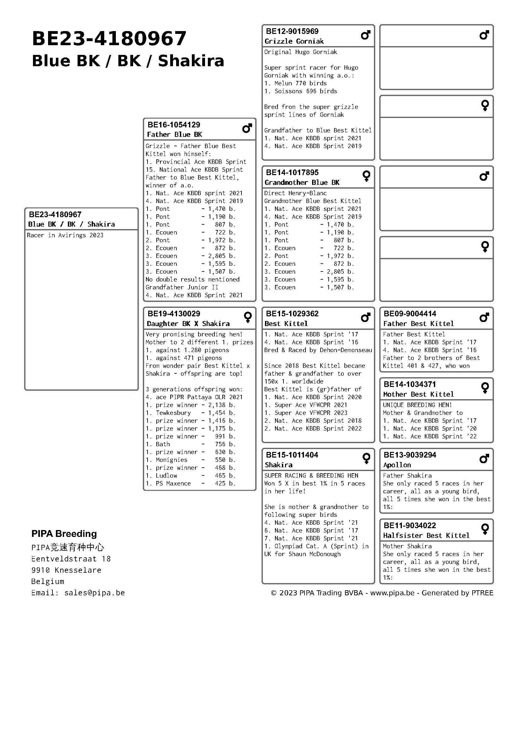 Pigeon pedigree image