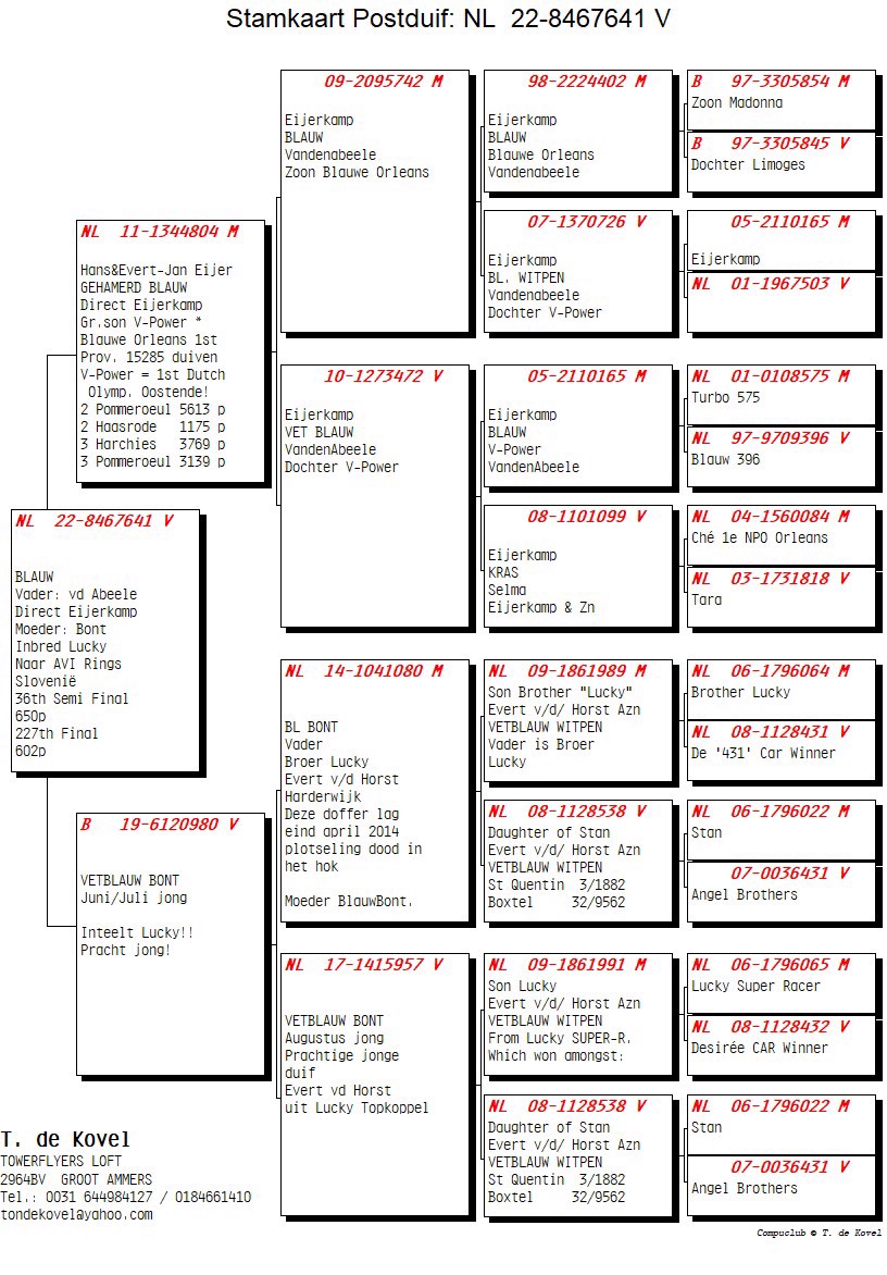 Pigeon pedigree image