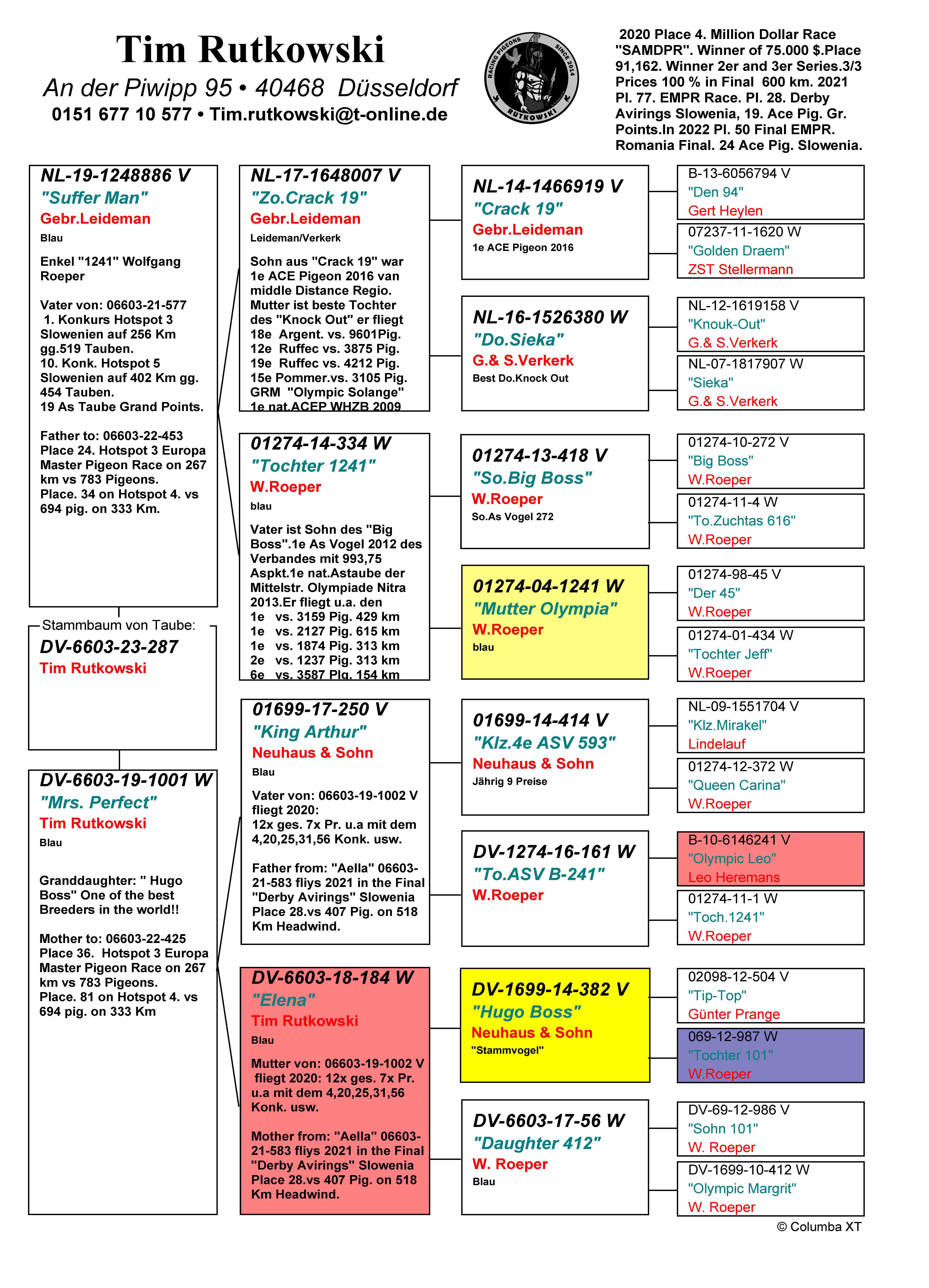 Pigeon pedigree image
