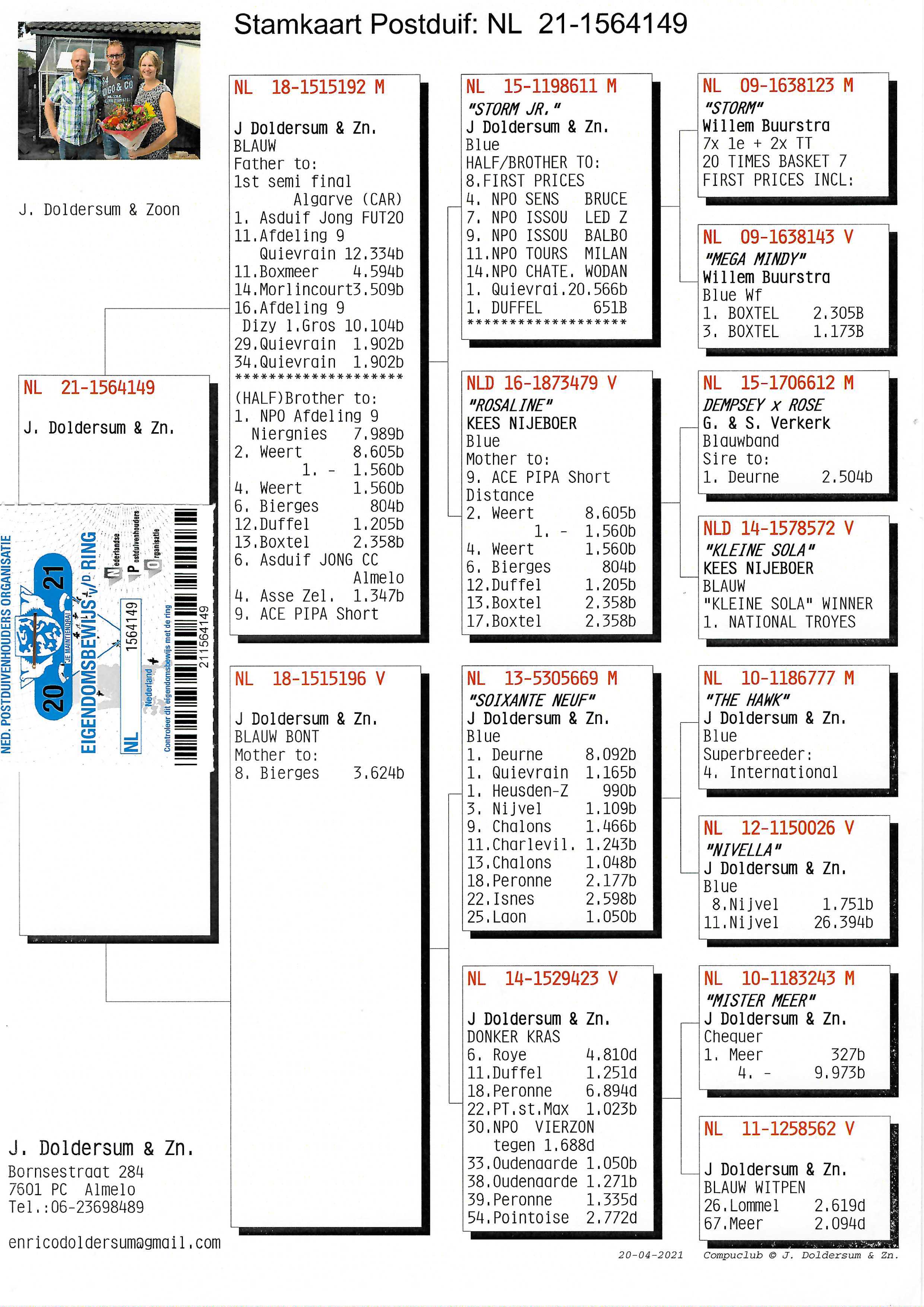 Pigeon pedigree image