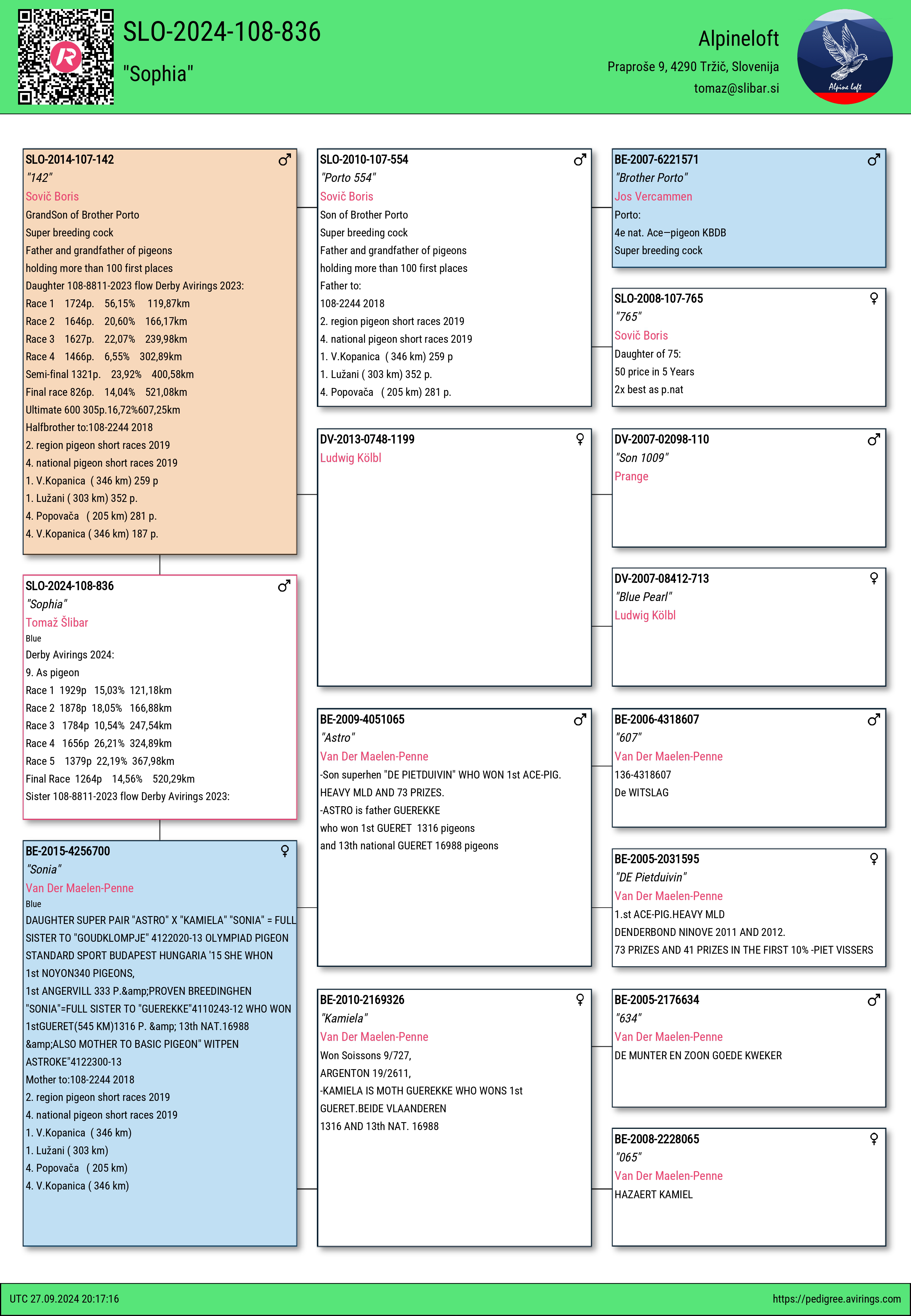Pigeon pedigree image