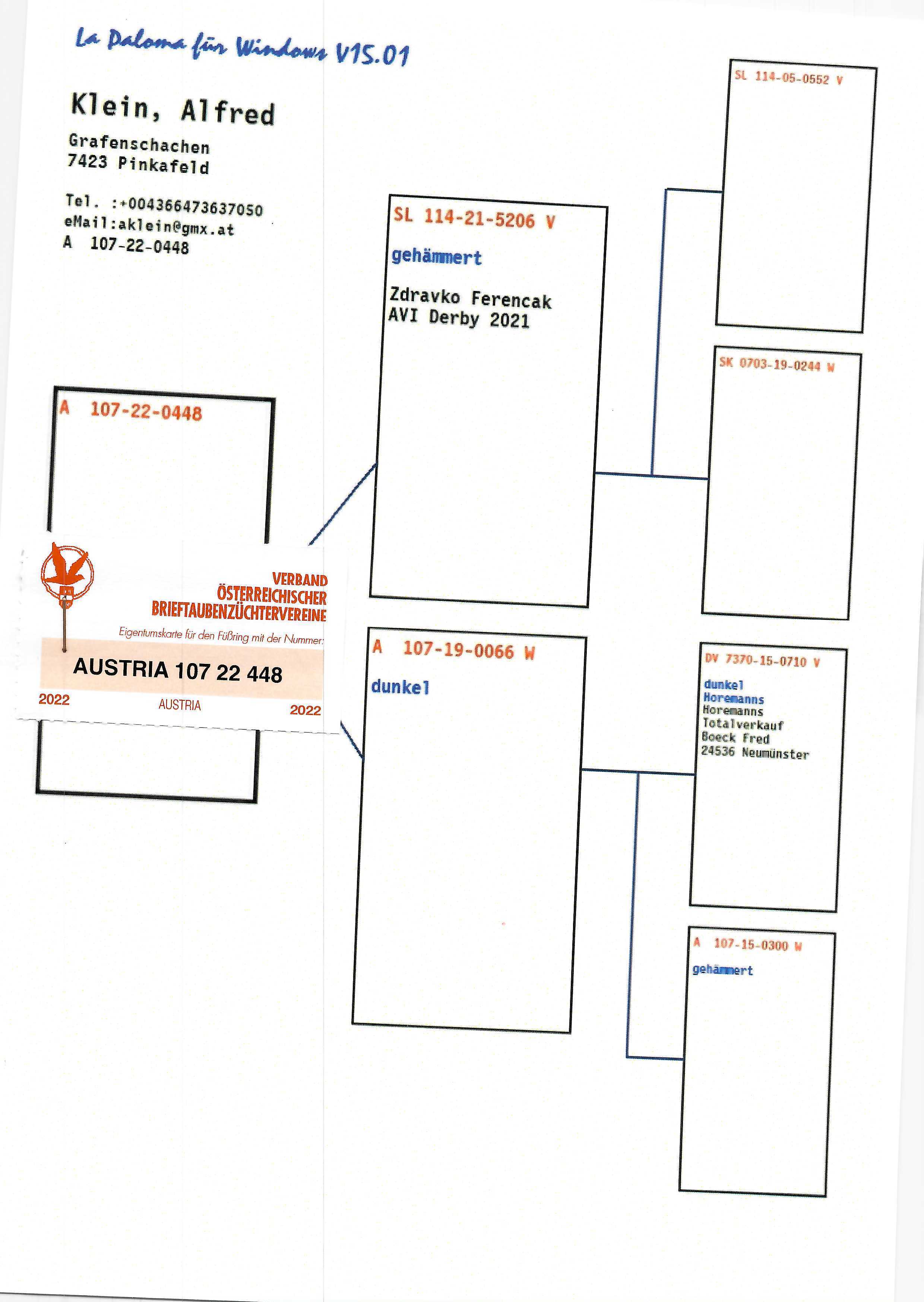 Pigeon pedigree image