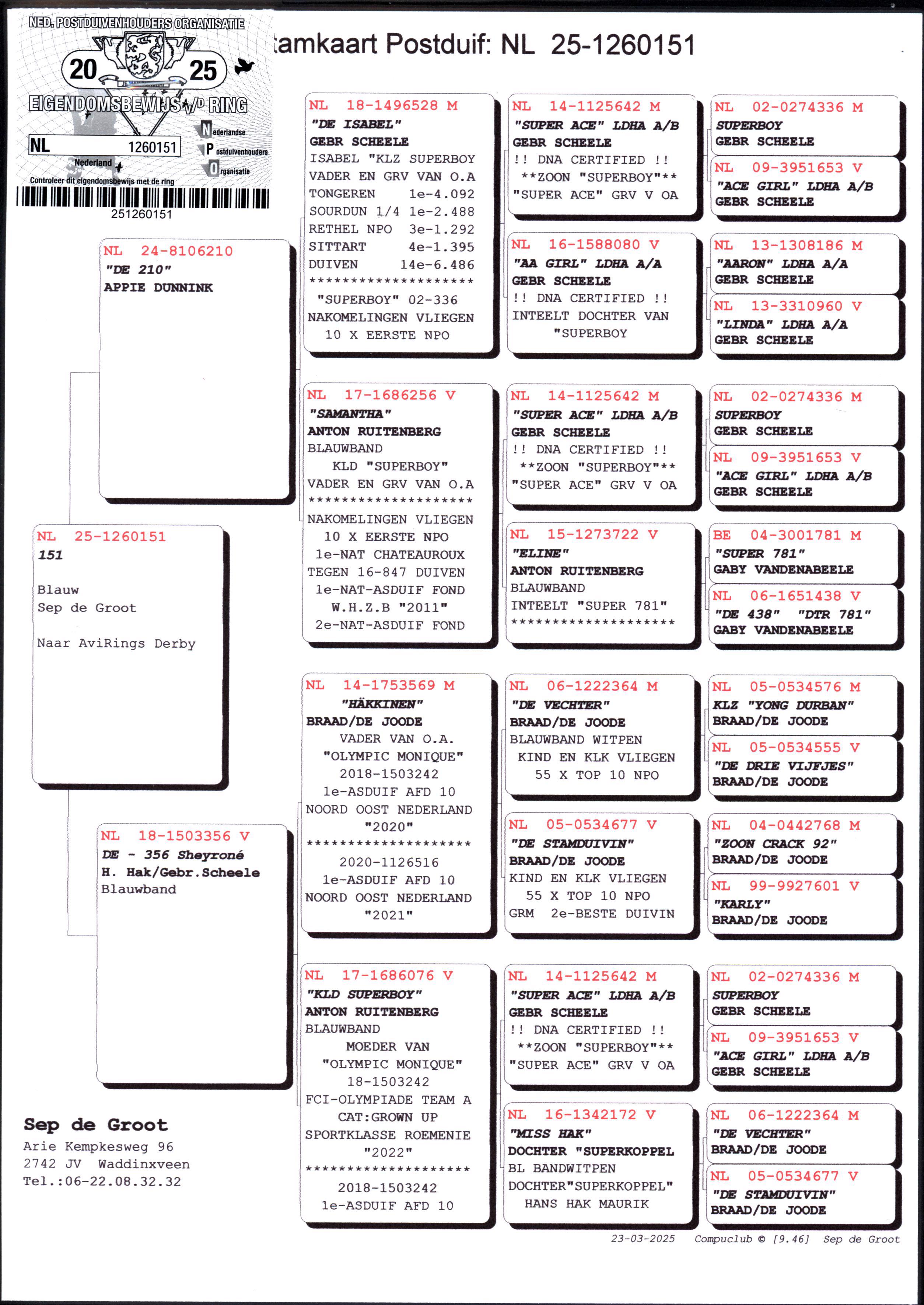 Pigeon pedigree image