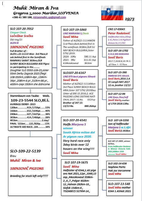 Pigeon pedigree image