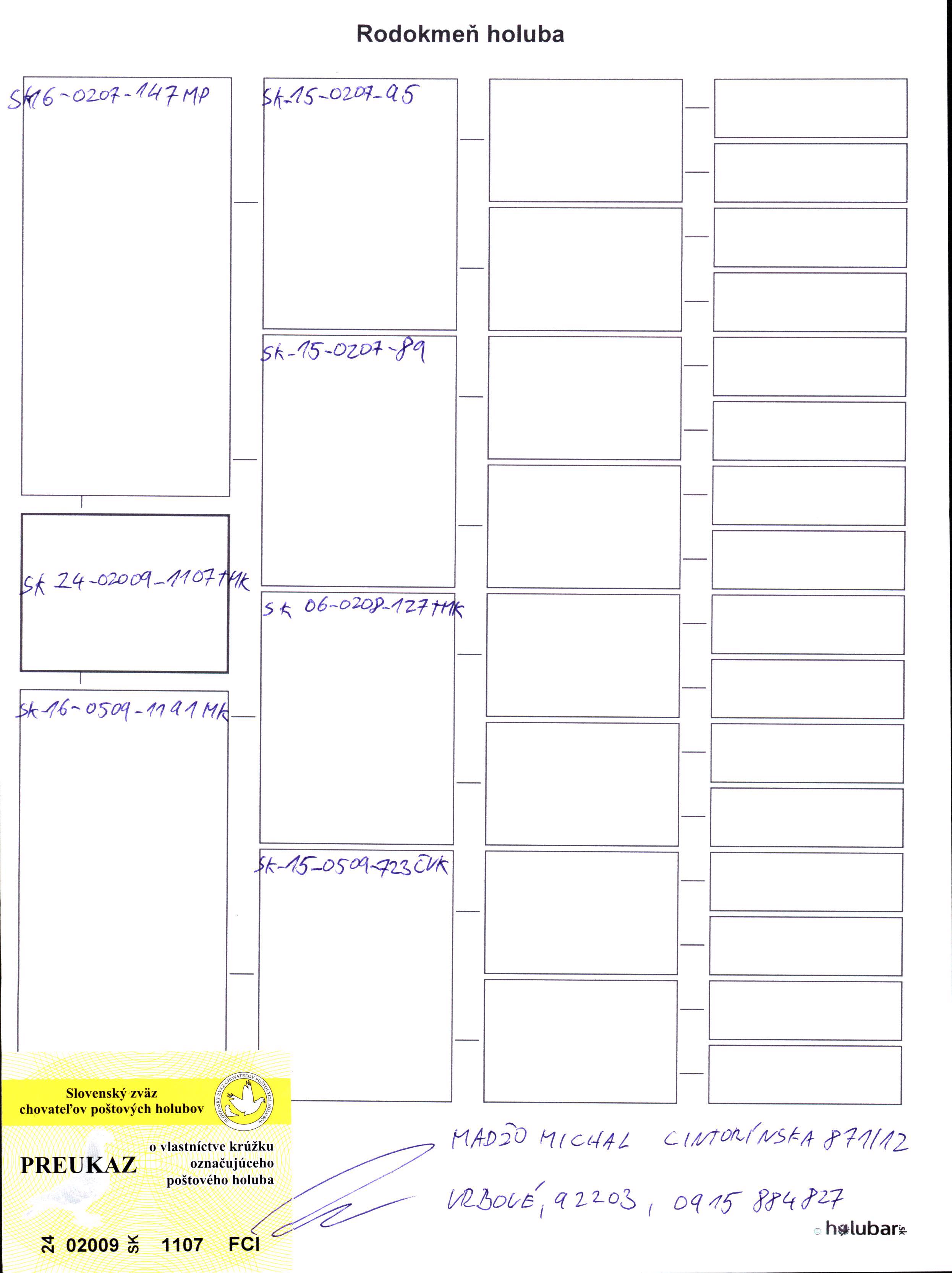 Pigeon pedigree image