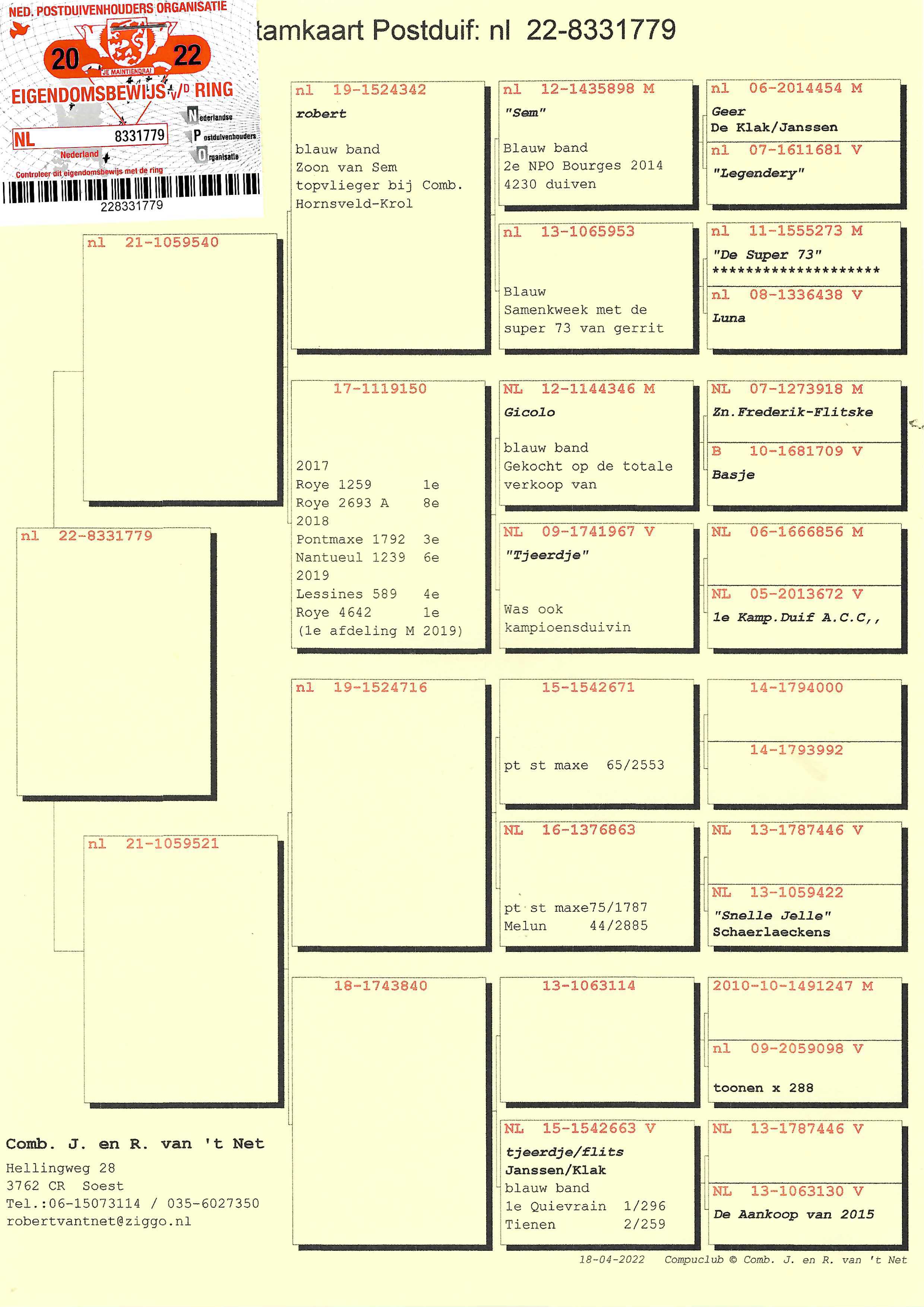 Pigeon pedigree image