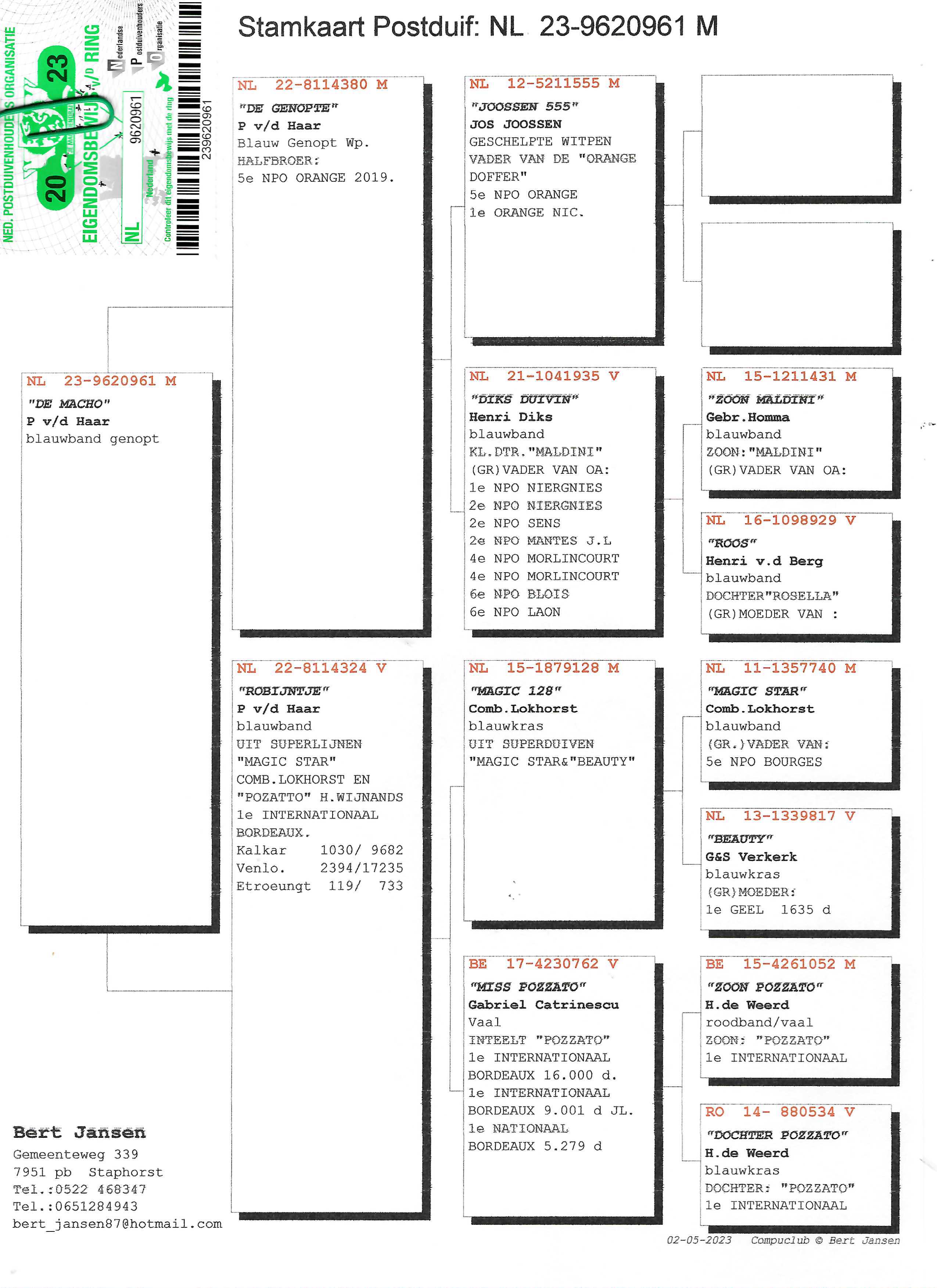 Pigeon pedigree image