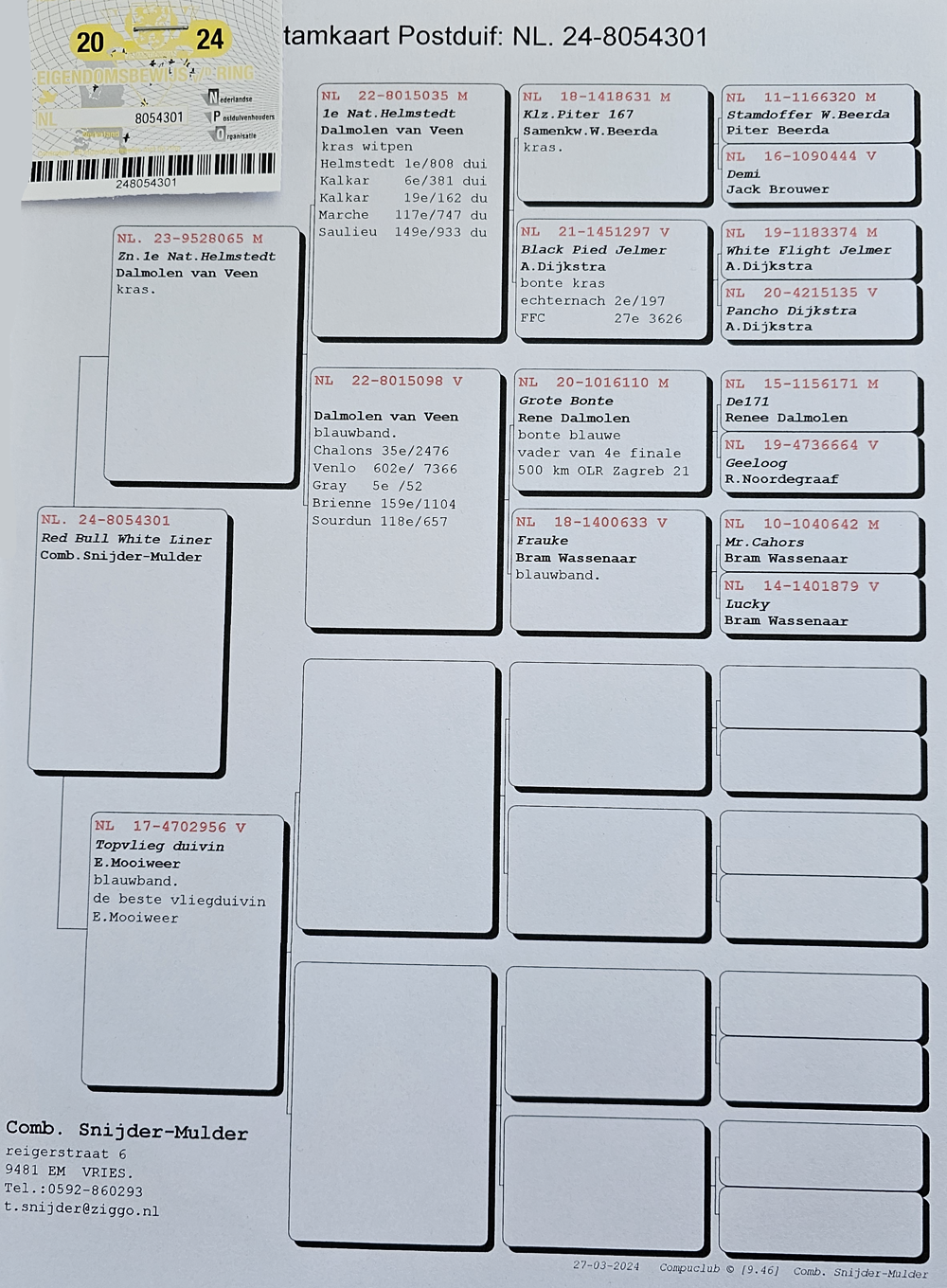 Stamboom NL 24-8054301.png