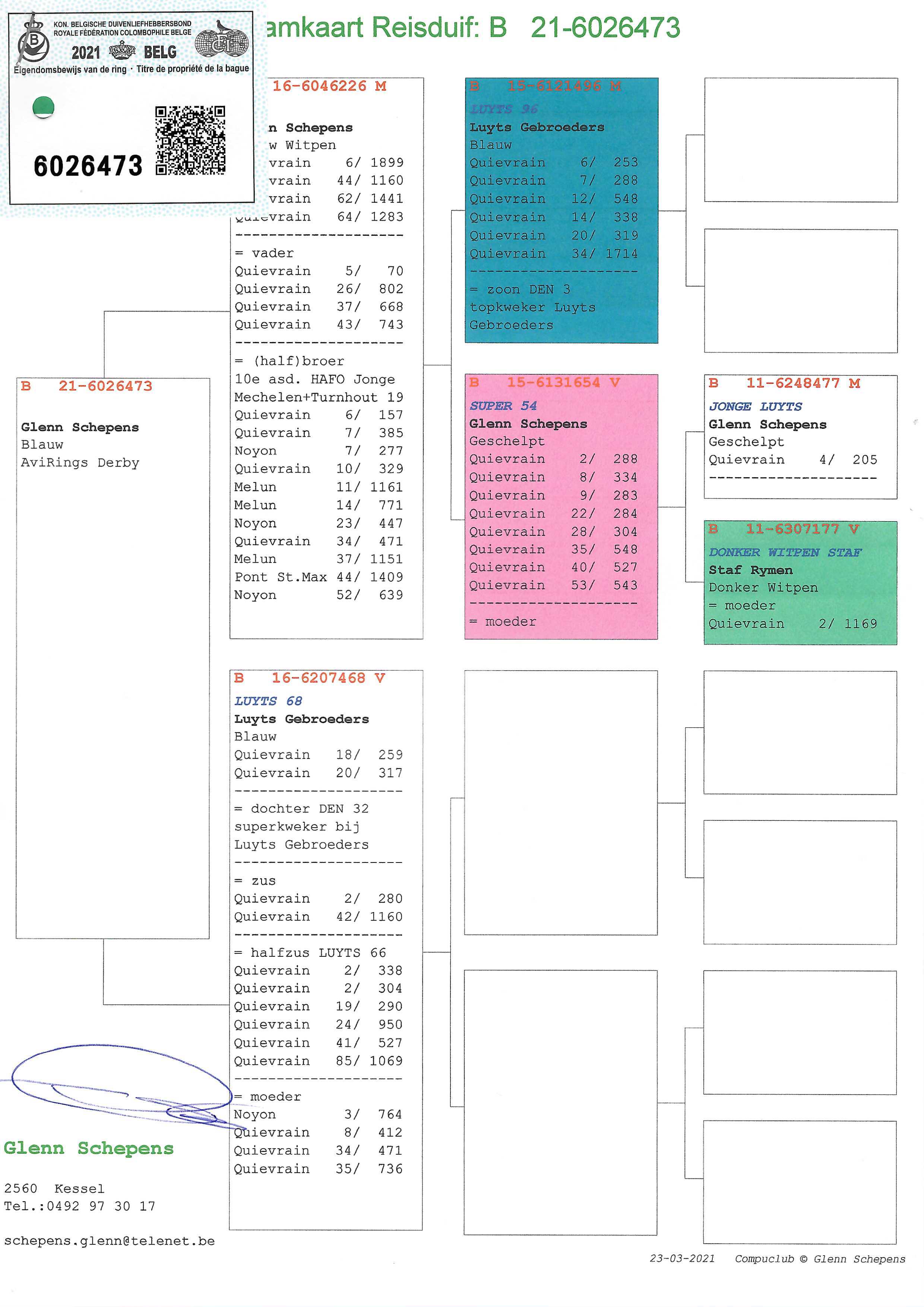 Pigeon pedigree image