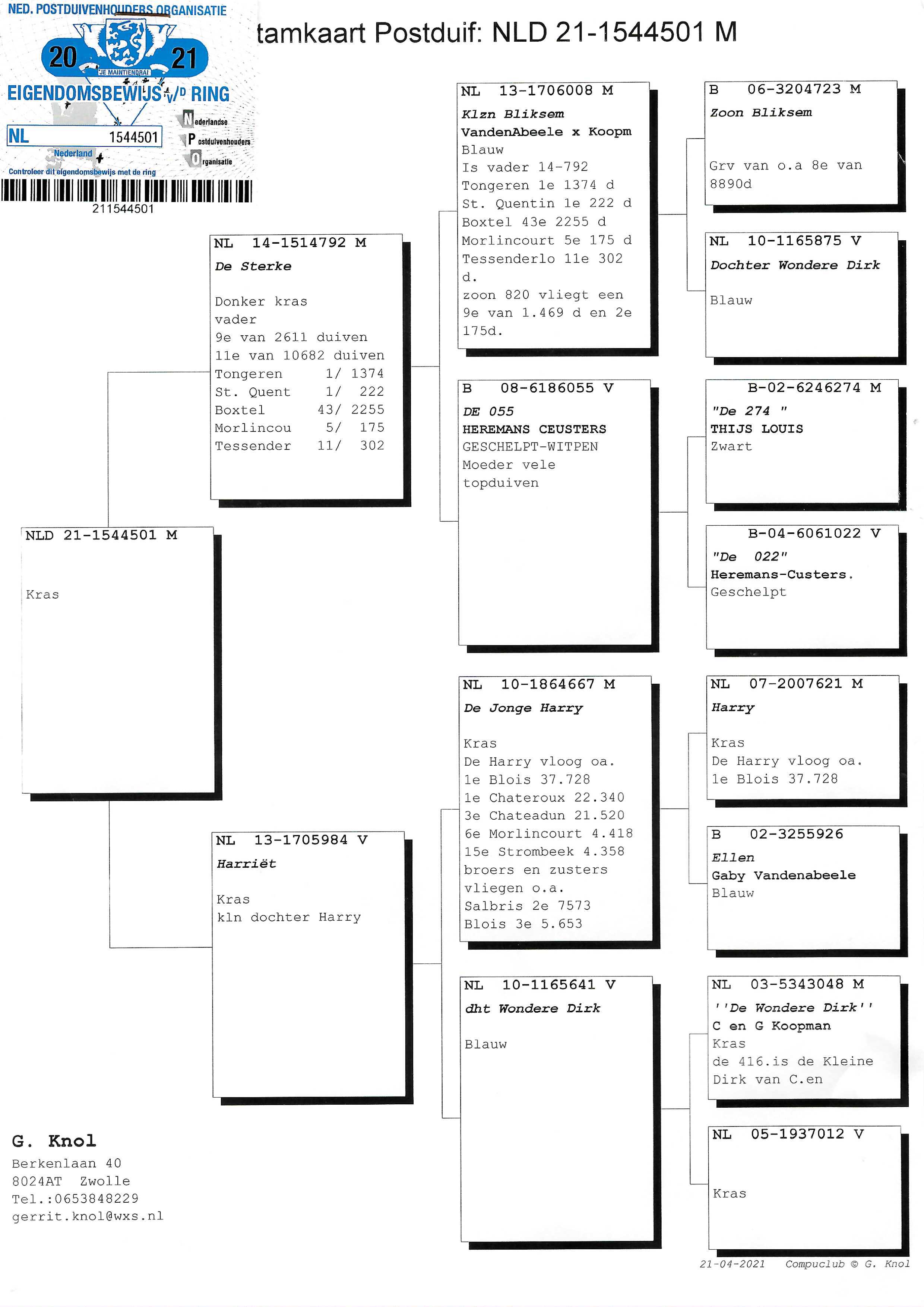 Pigeon pedigree image