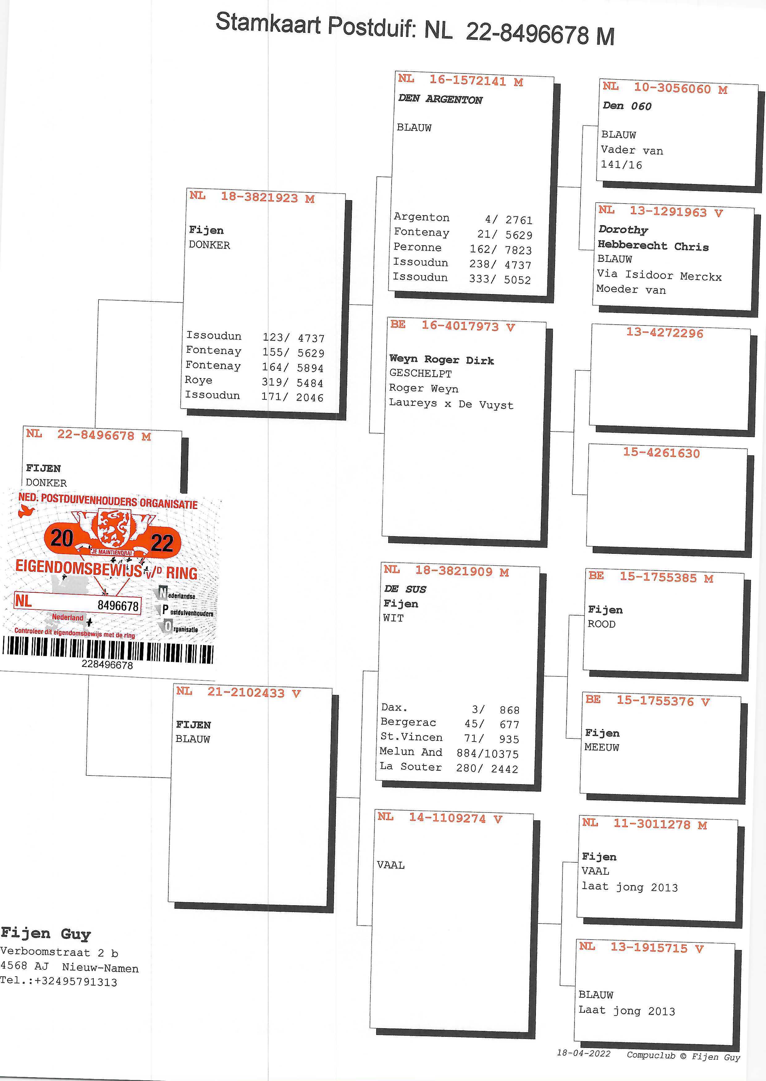 Pigeon pedigree image
