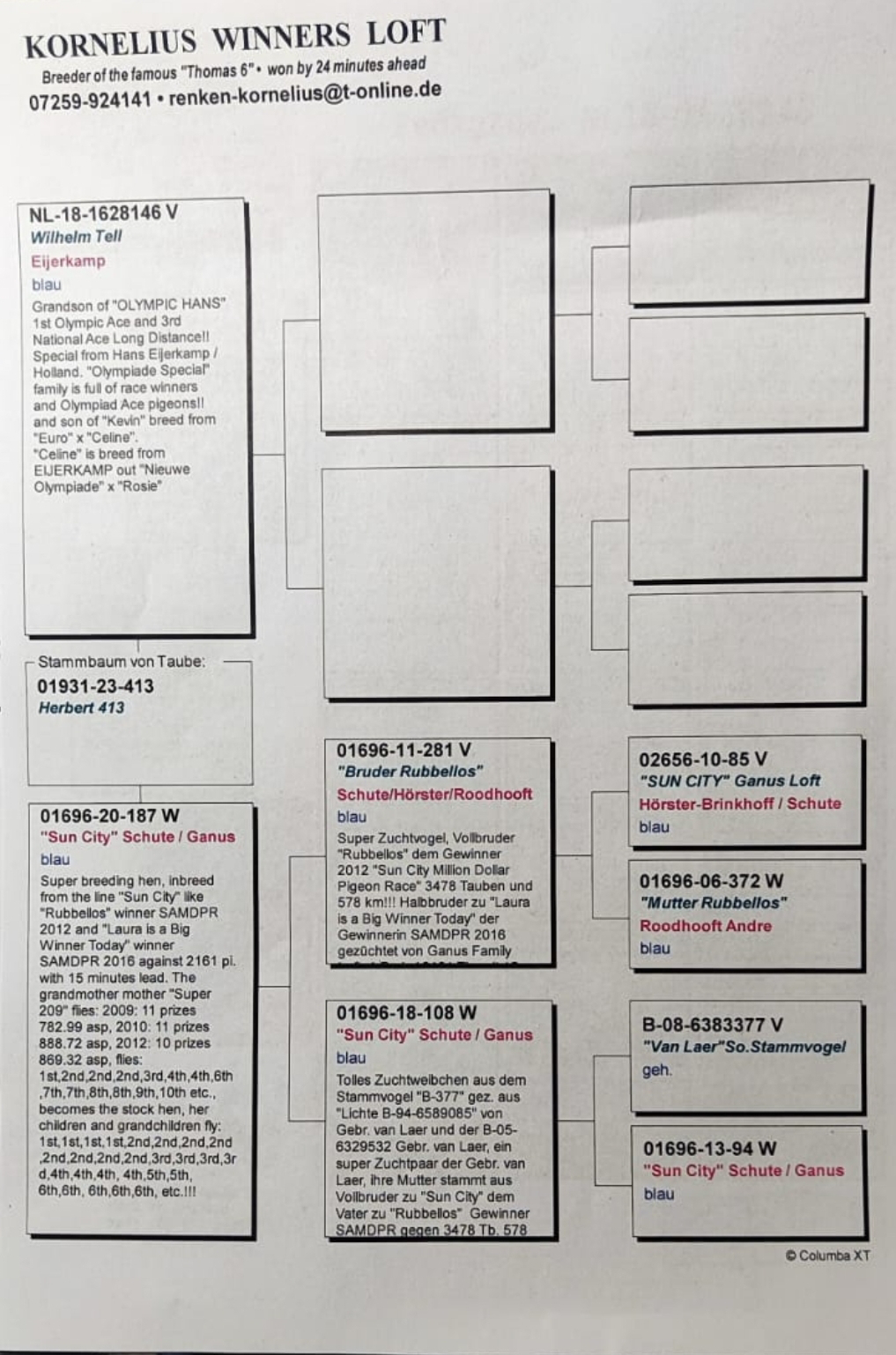 Pigeon pedigree image