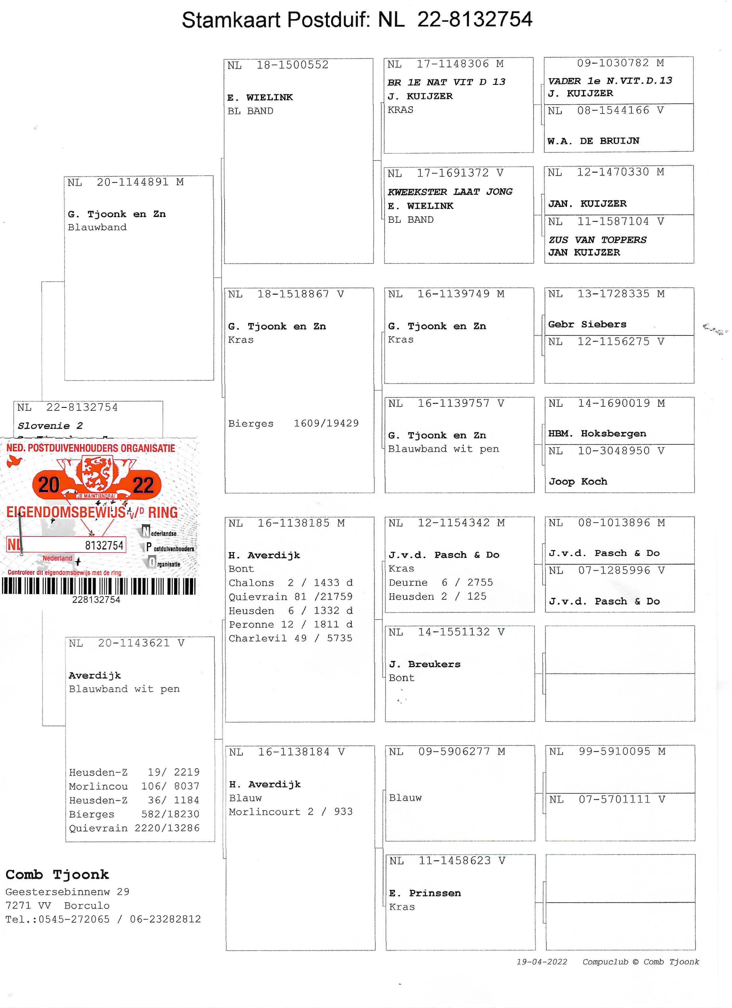 Pigeon pedigree image