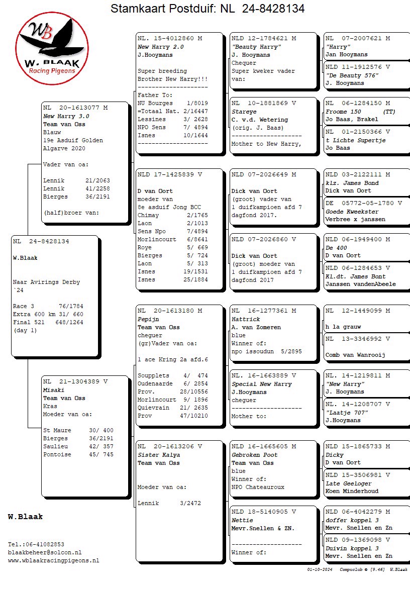 Pigeon pedigree image