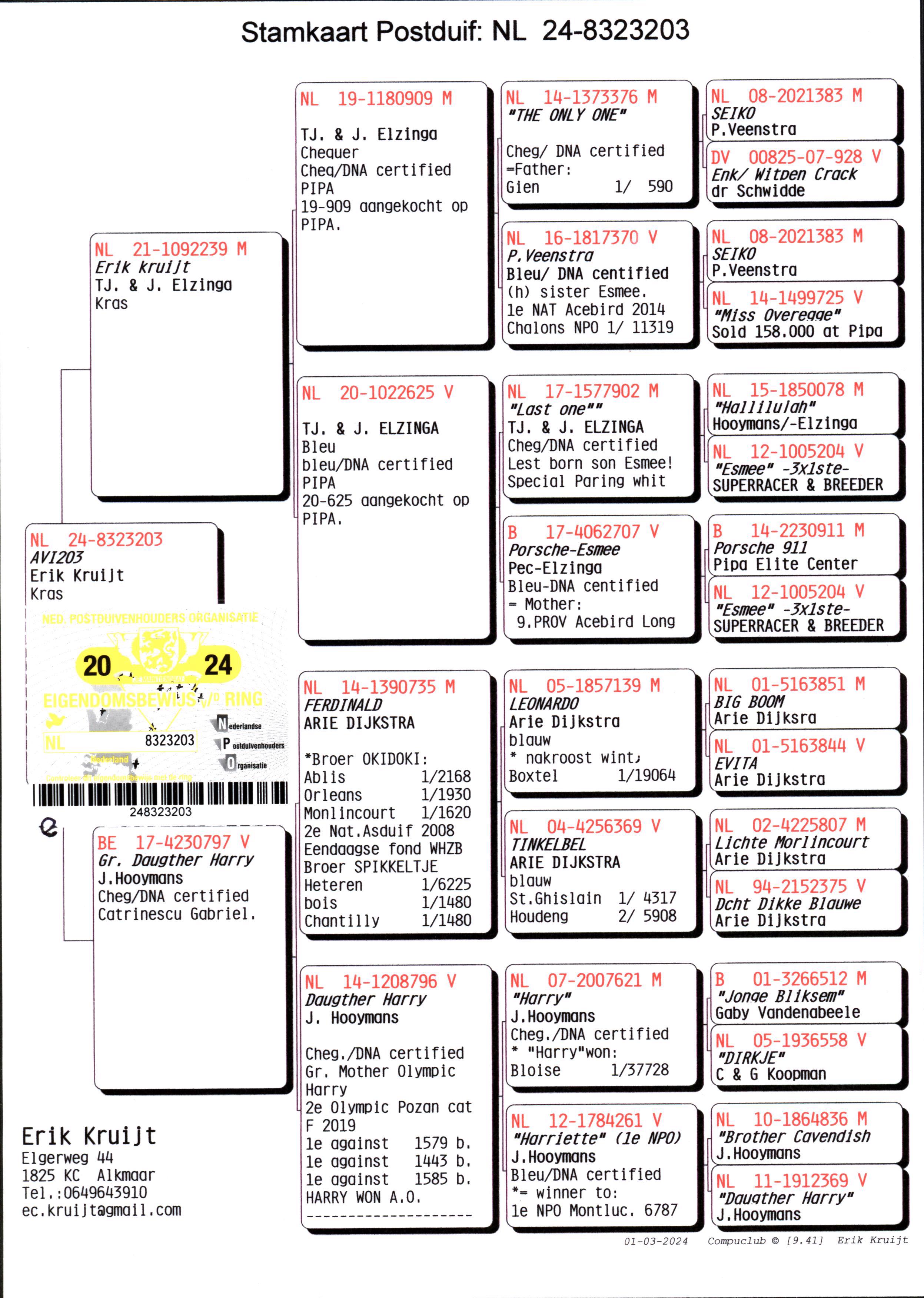 Pigeon pedigree image