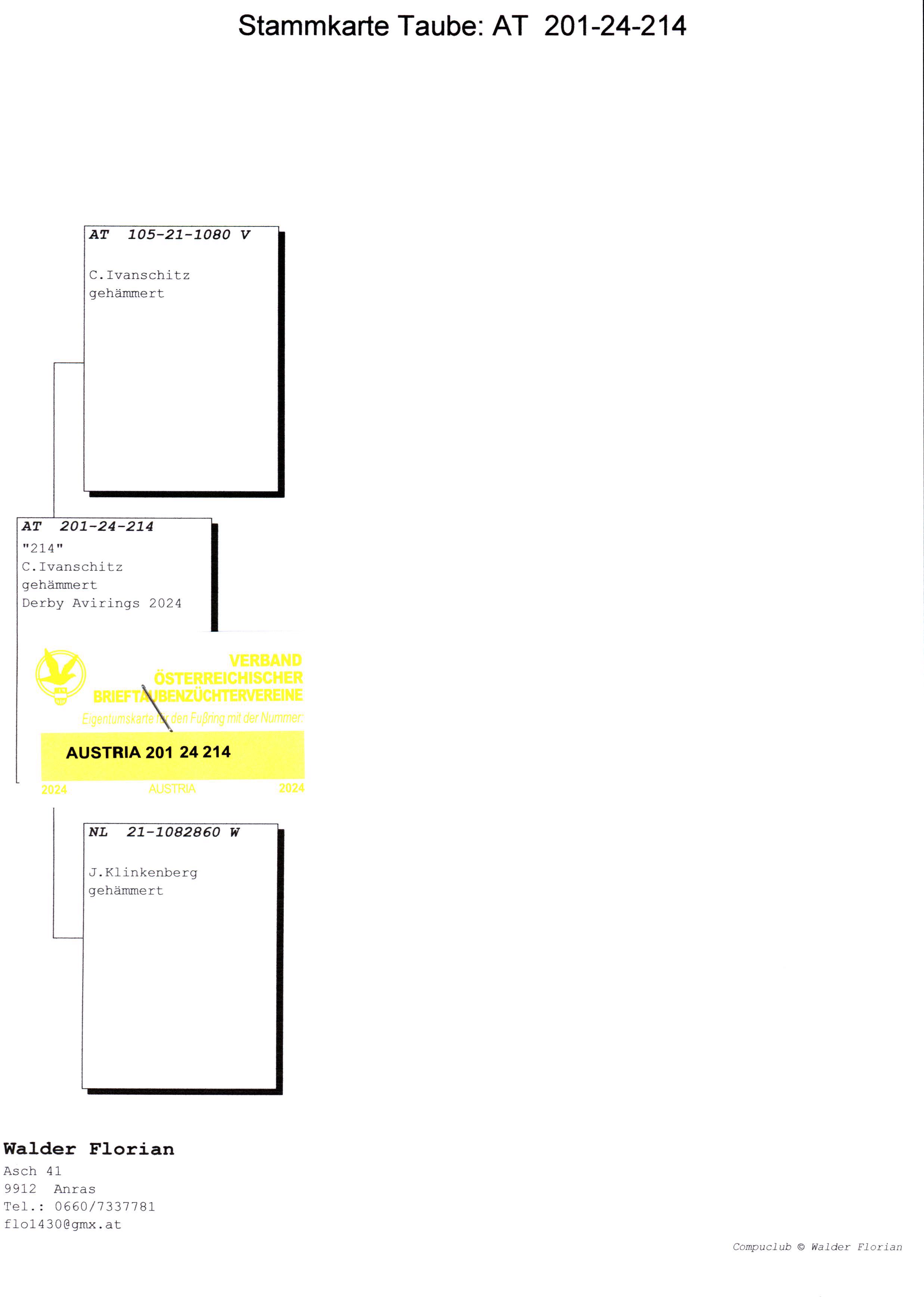 Pigeon pedigree image