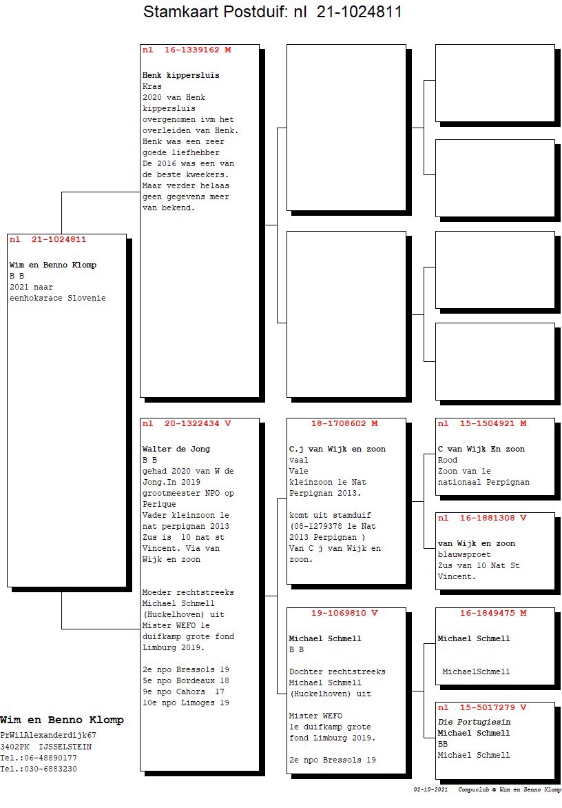 Pigeon pedigree image