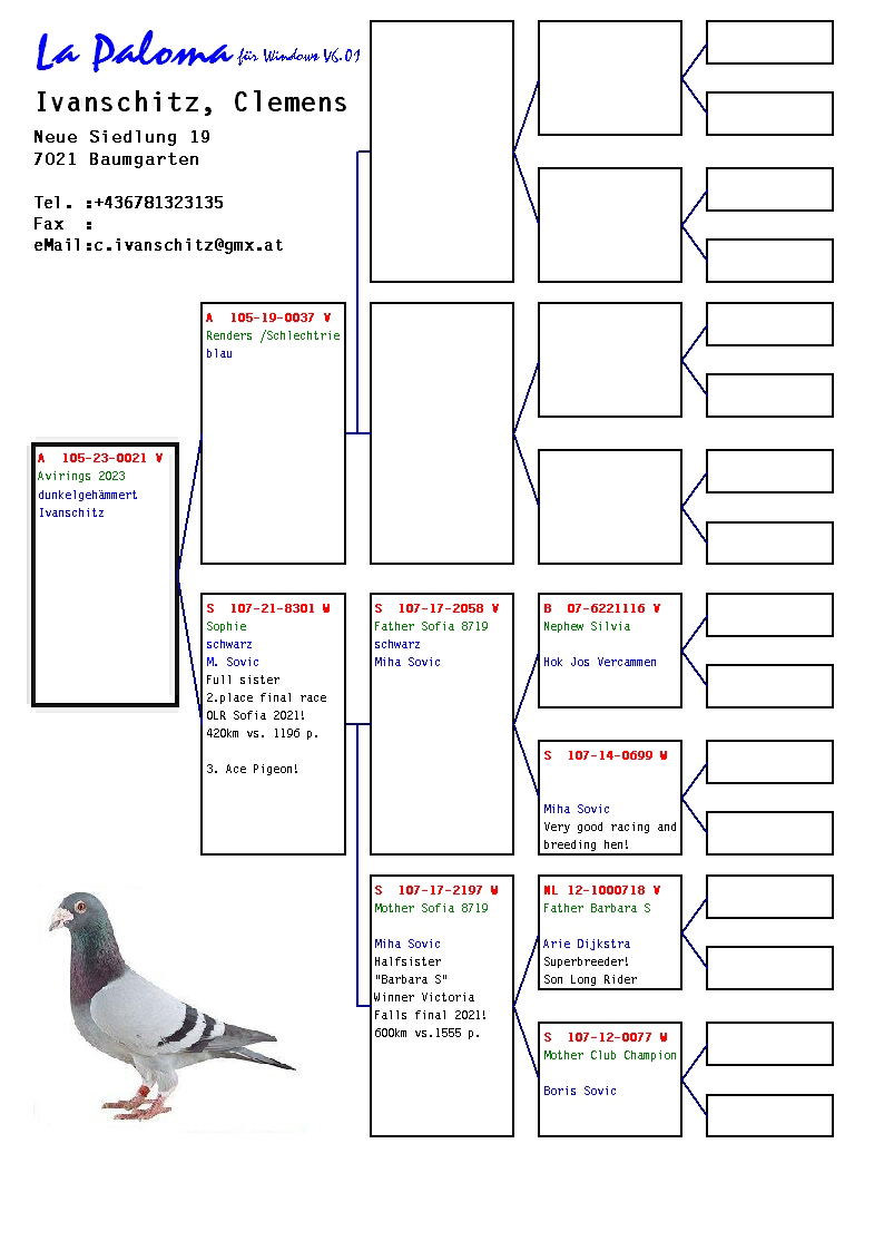 Pigeon pedigree image