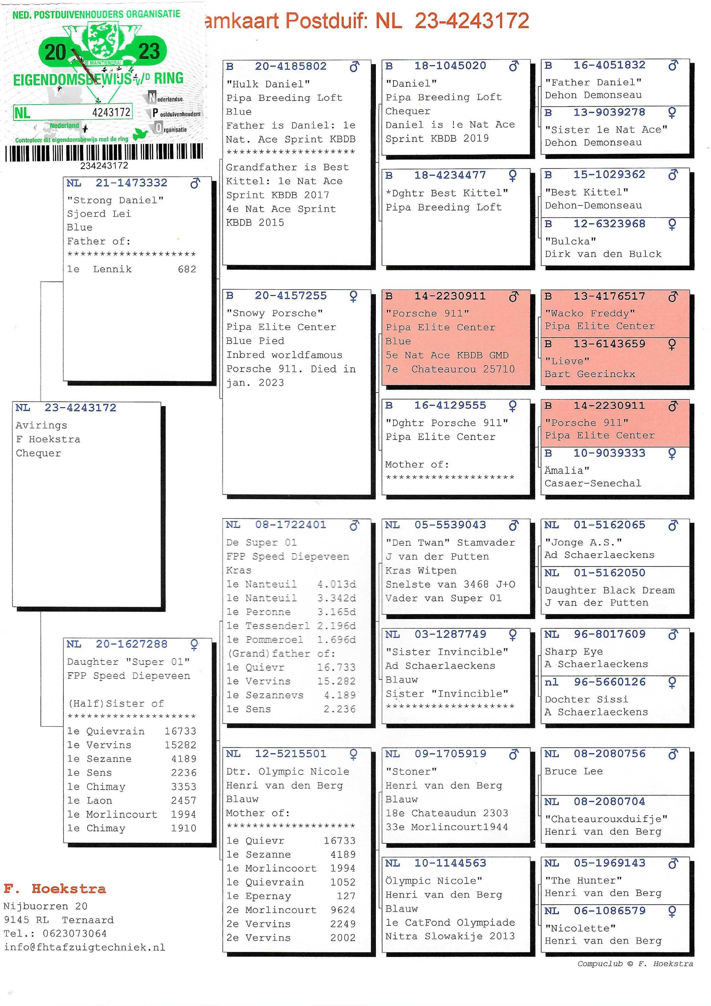 Pigeon pedigree image