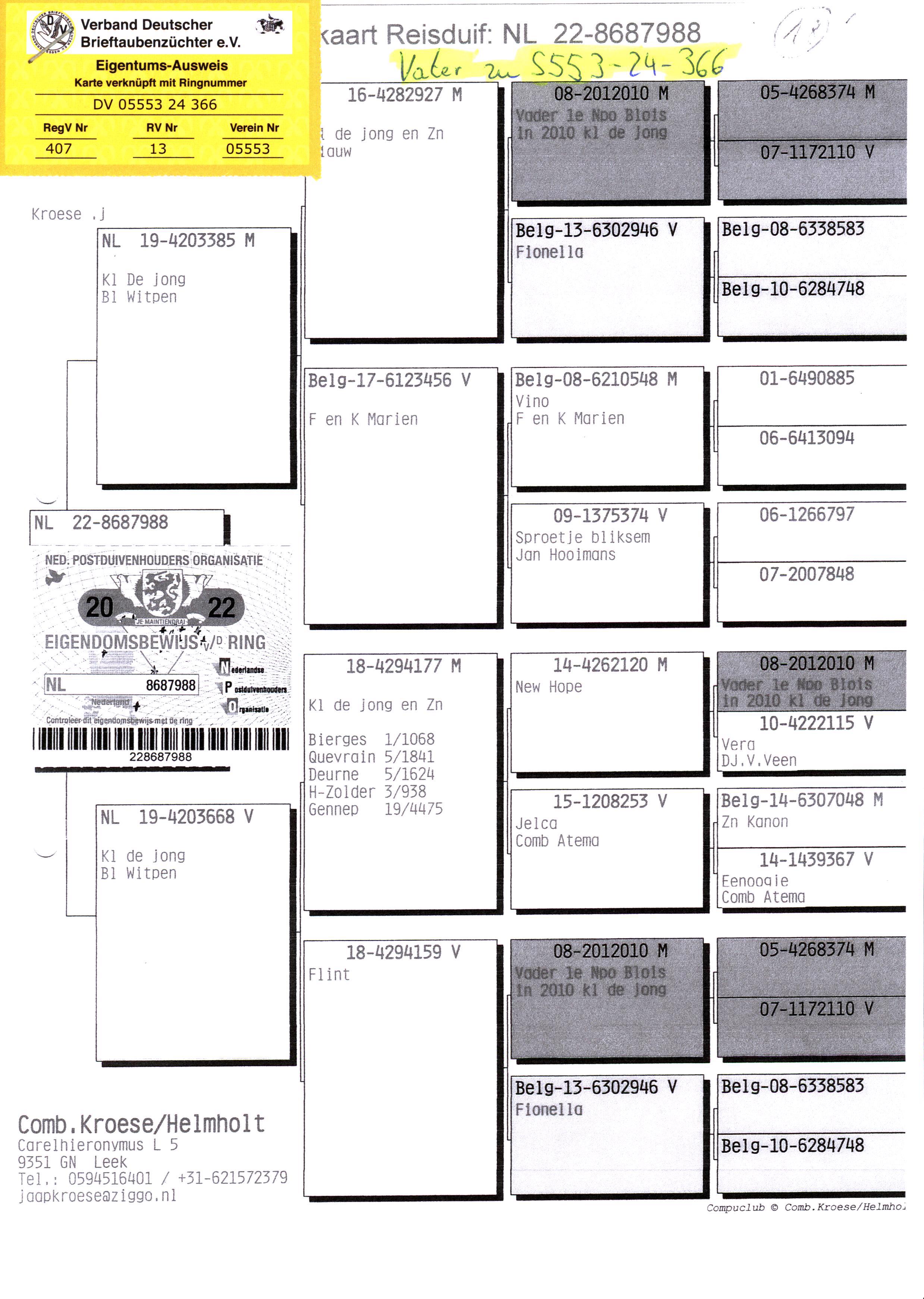Pigeon pedigree image