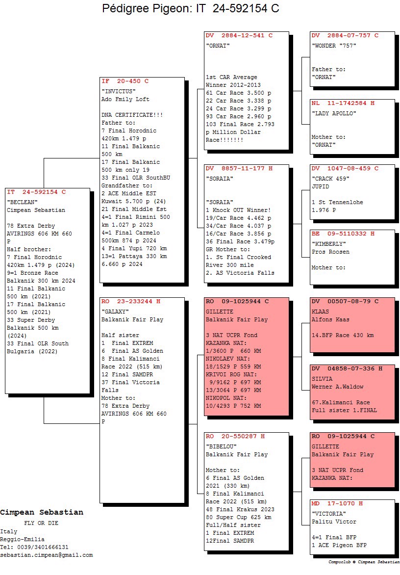 Pigeon pedigree image
