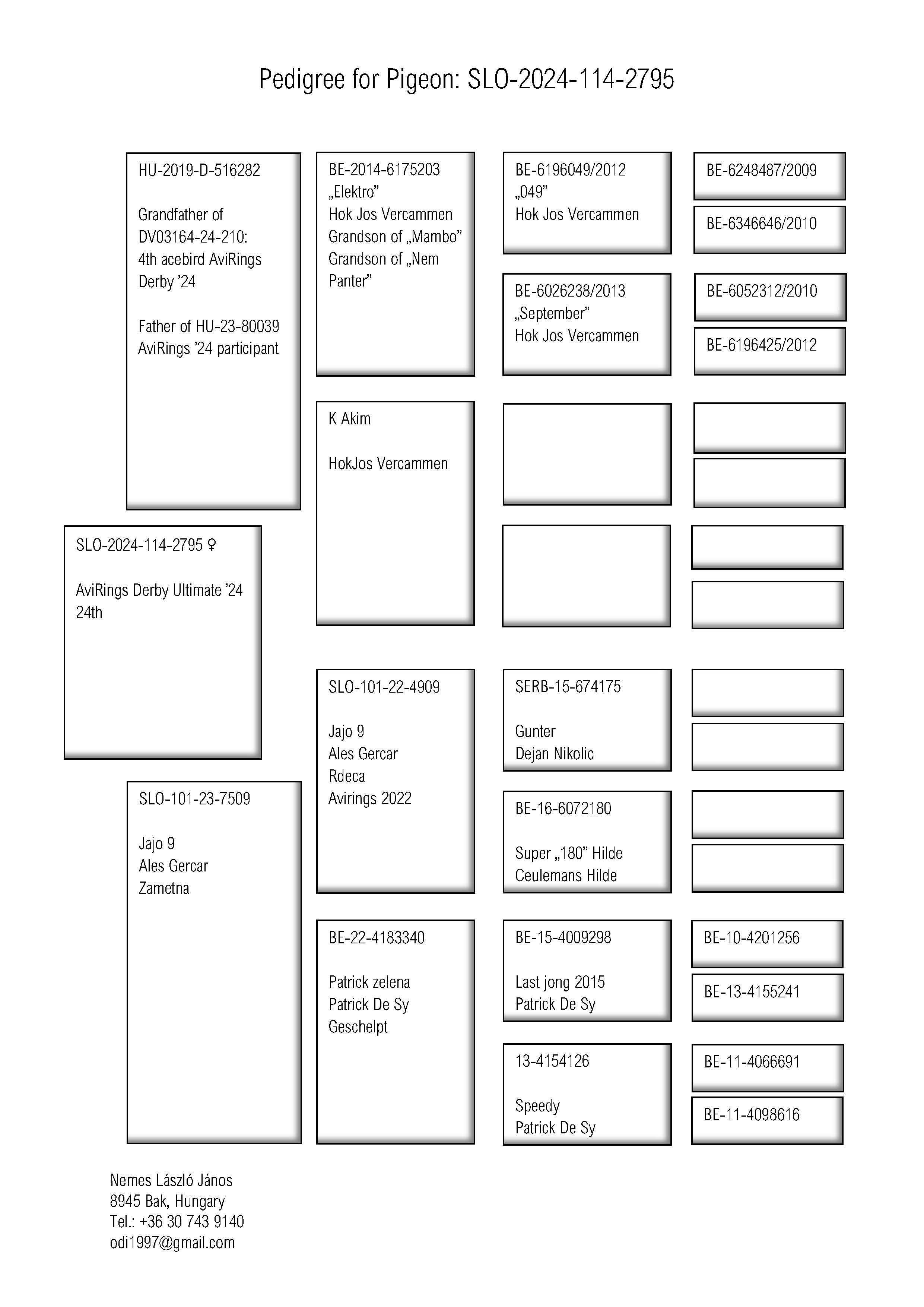 Pigeon pedigree image