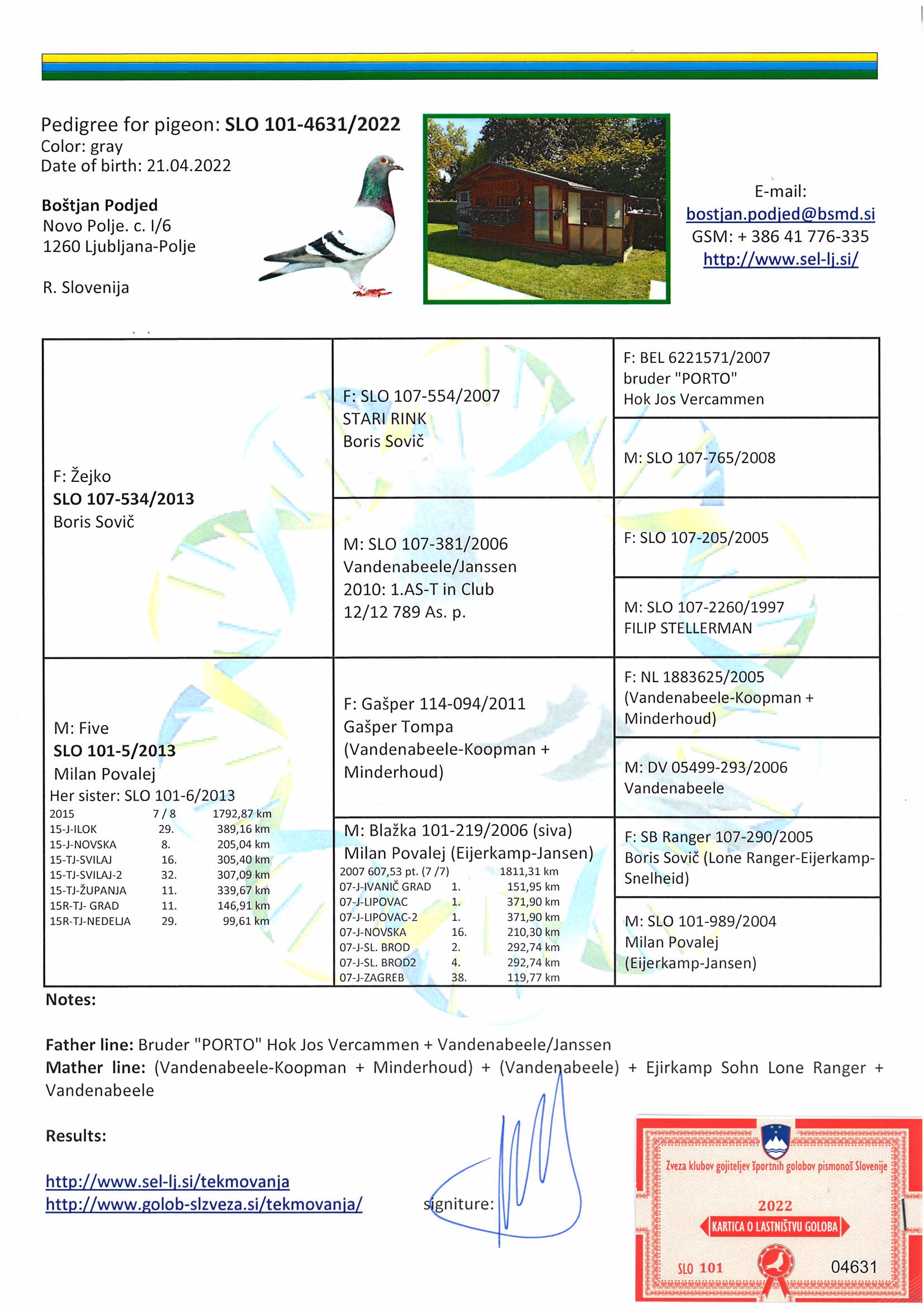 Pigeon pedigree image