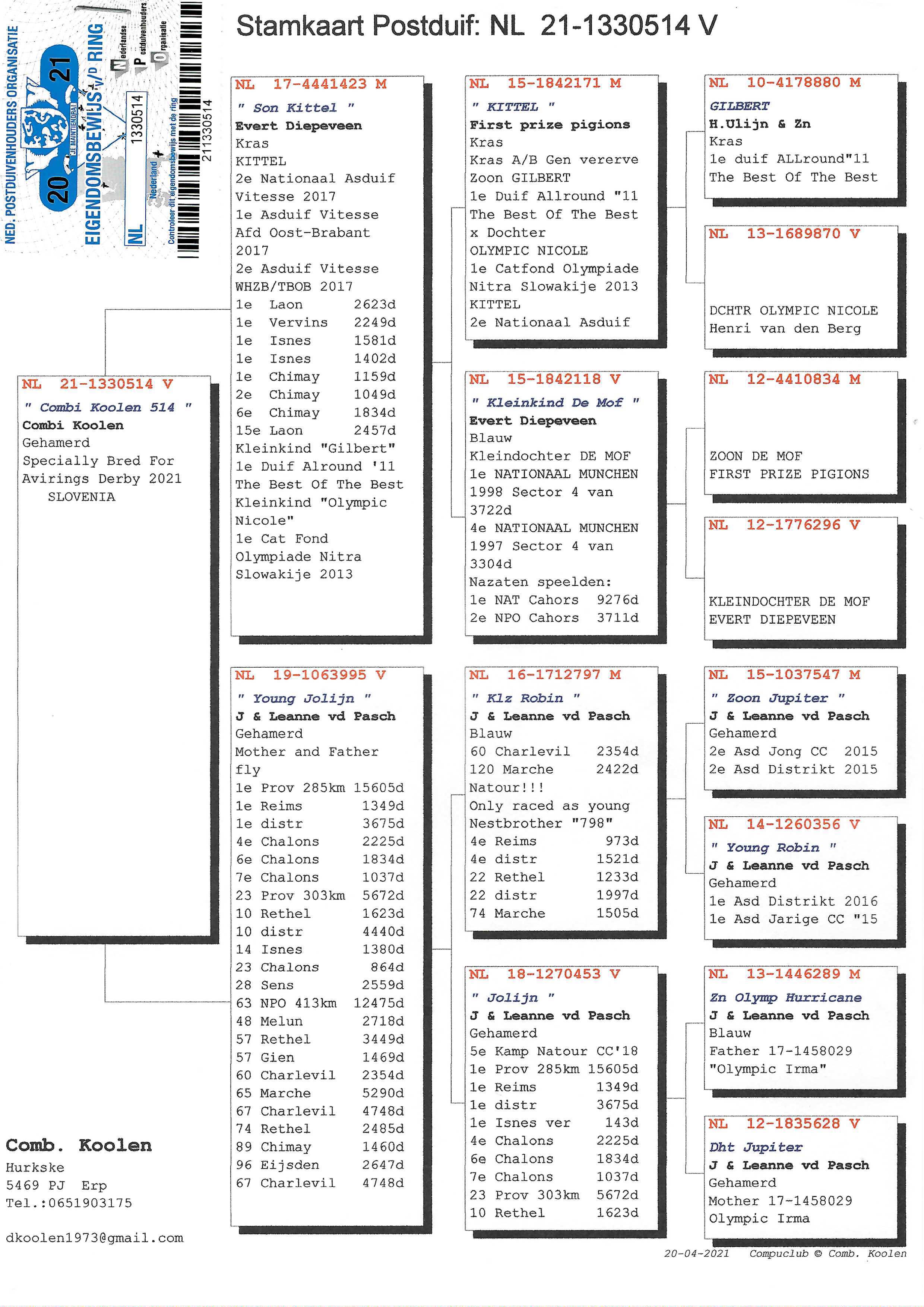 Pigeon pedigree image