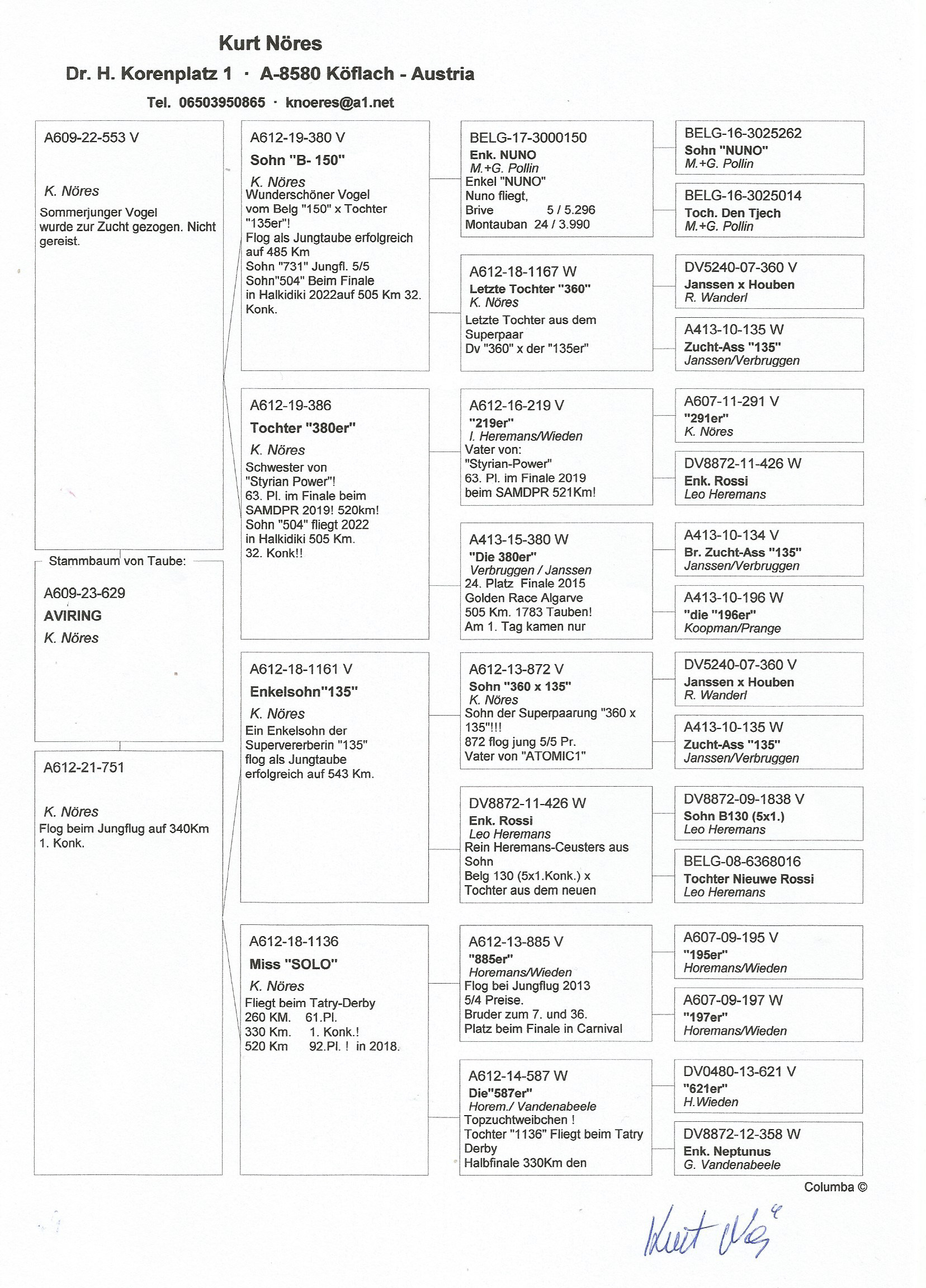 Pigeon pedigree image