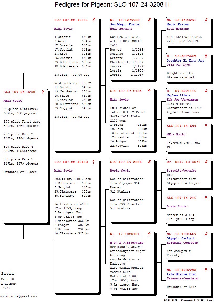 Pigeon pedigree image