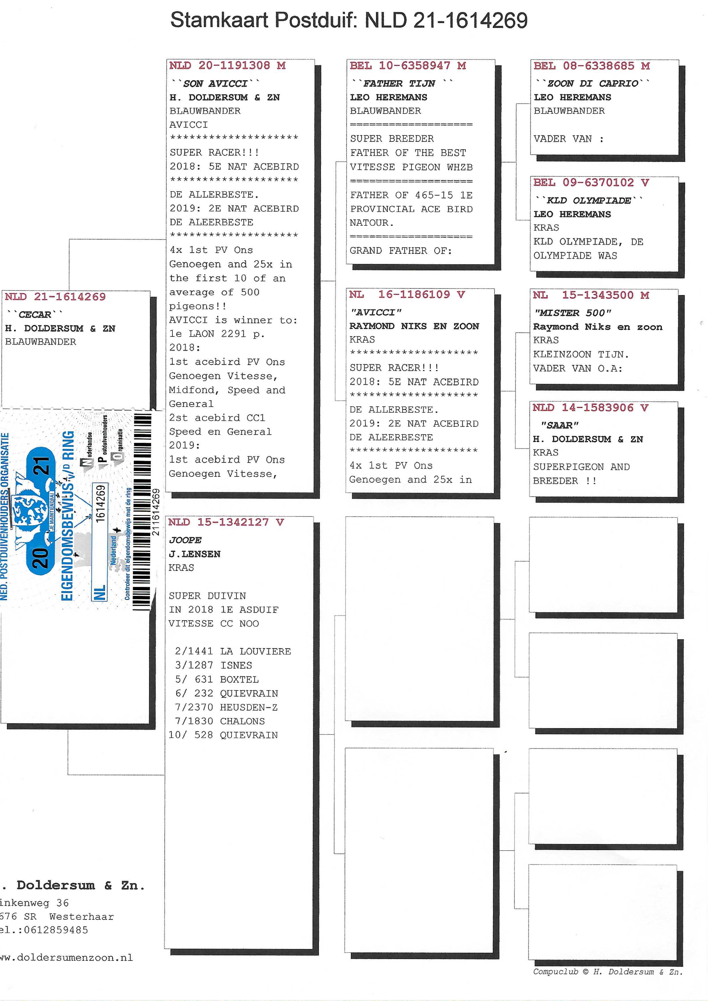 Pigeon pedigree image
