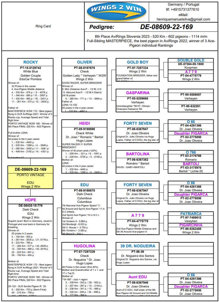 Pigeon pedigree image