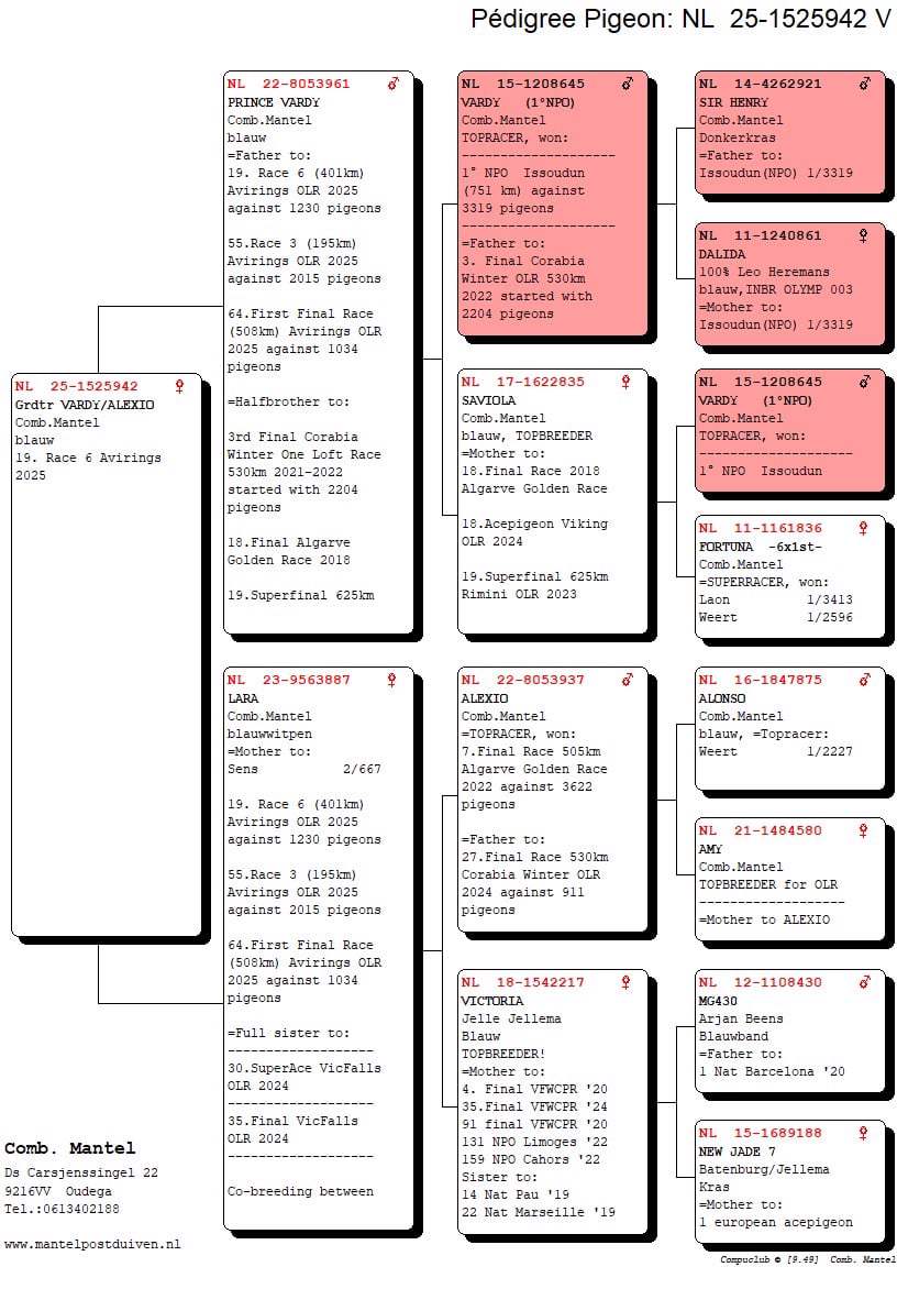 Pigeon pedigree image