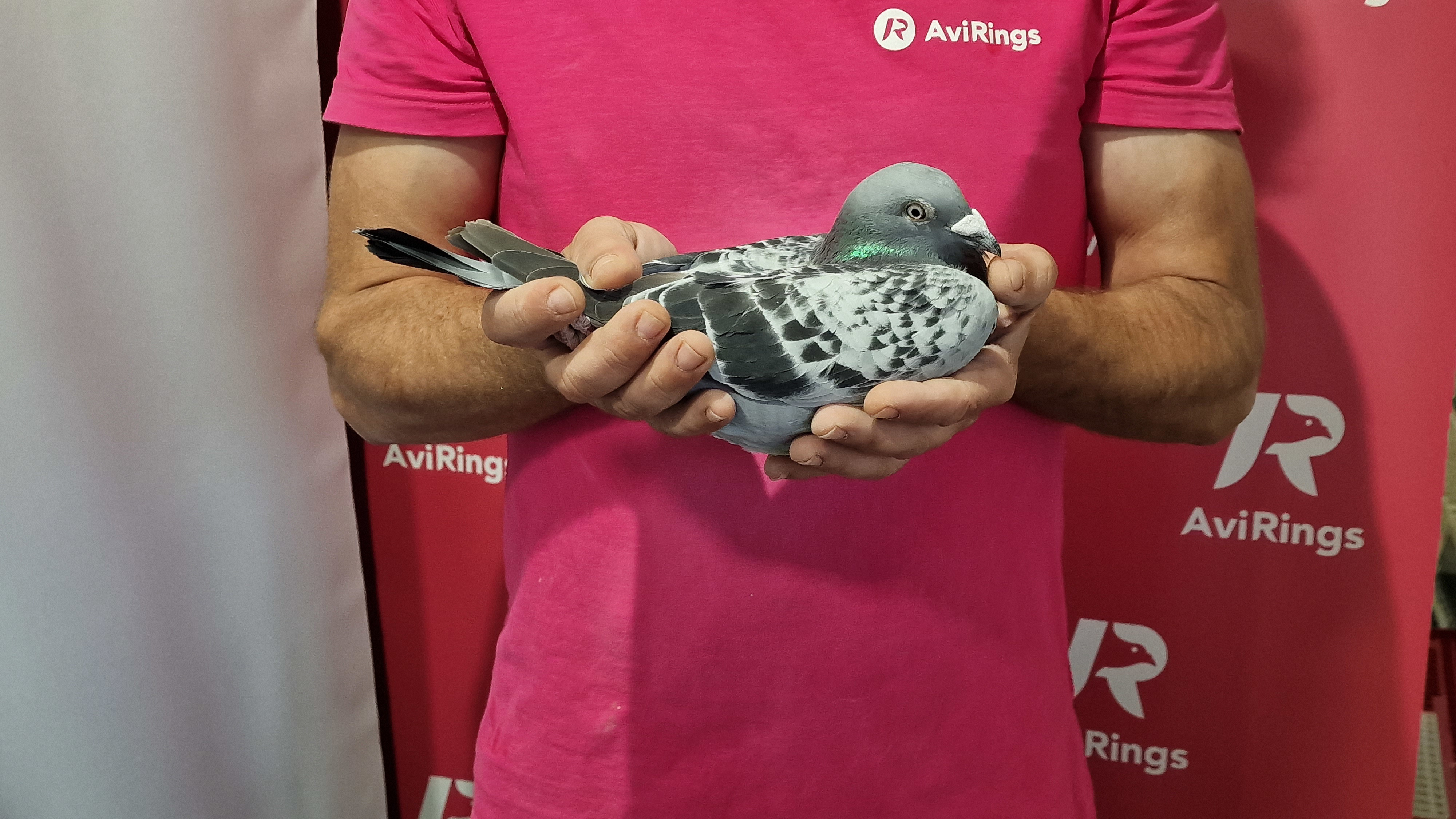 Dušan Kompara - SLO-2023-117-3405