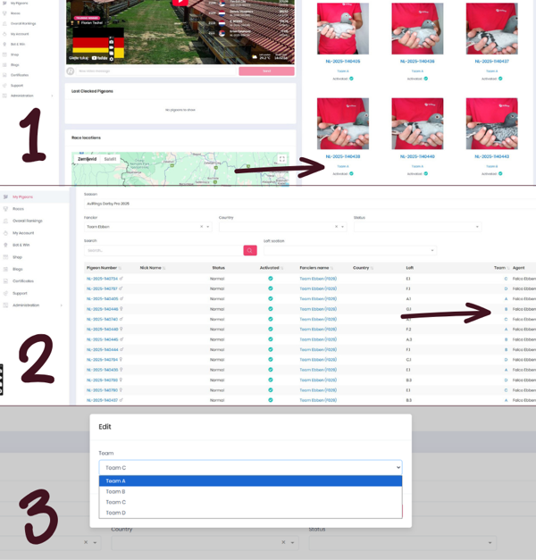 NEW: Optimize your teams for the best results!