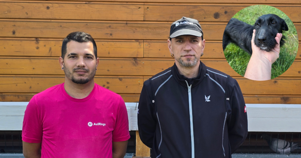 Who Takes Care of Your Pigeons at AviRings?